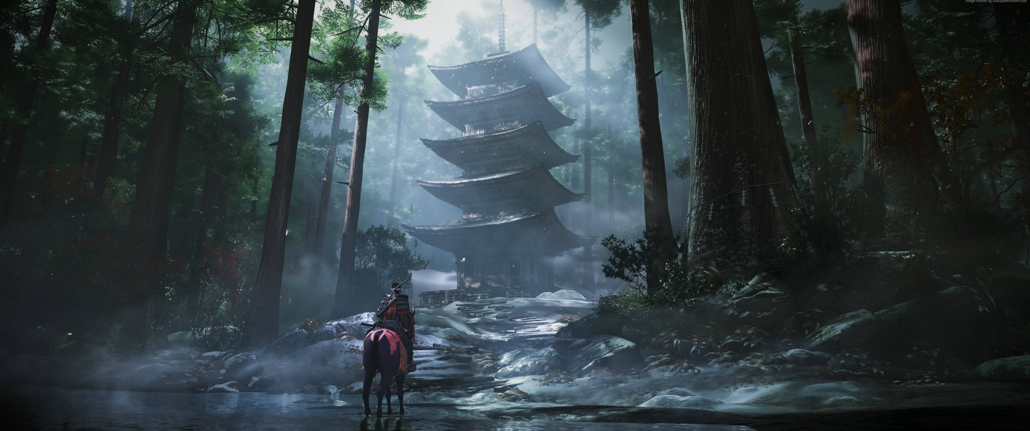 samurai, horseback, misty forest, 2K Desktop Wallpaper