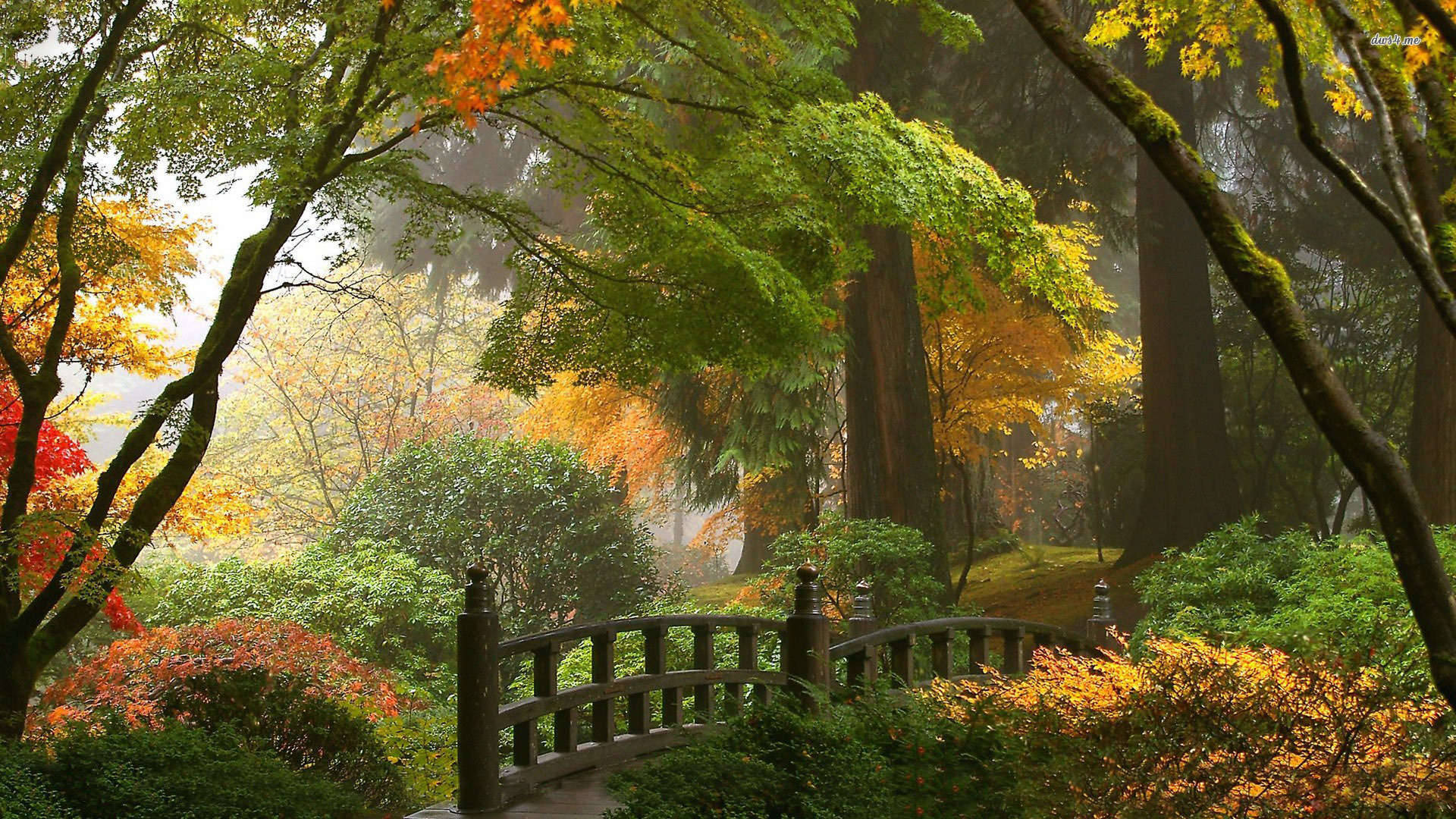 wooden bridge, misty autumn forest, vibrant orange yellow and green foliage, Full HD Desktop Wallpaper