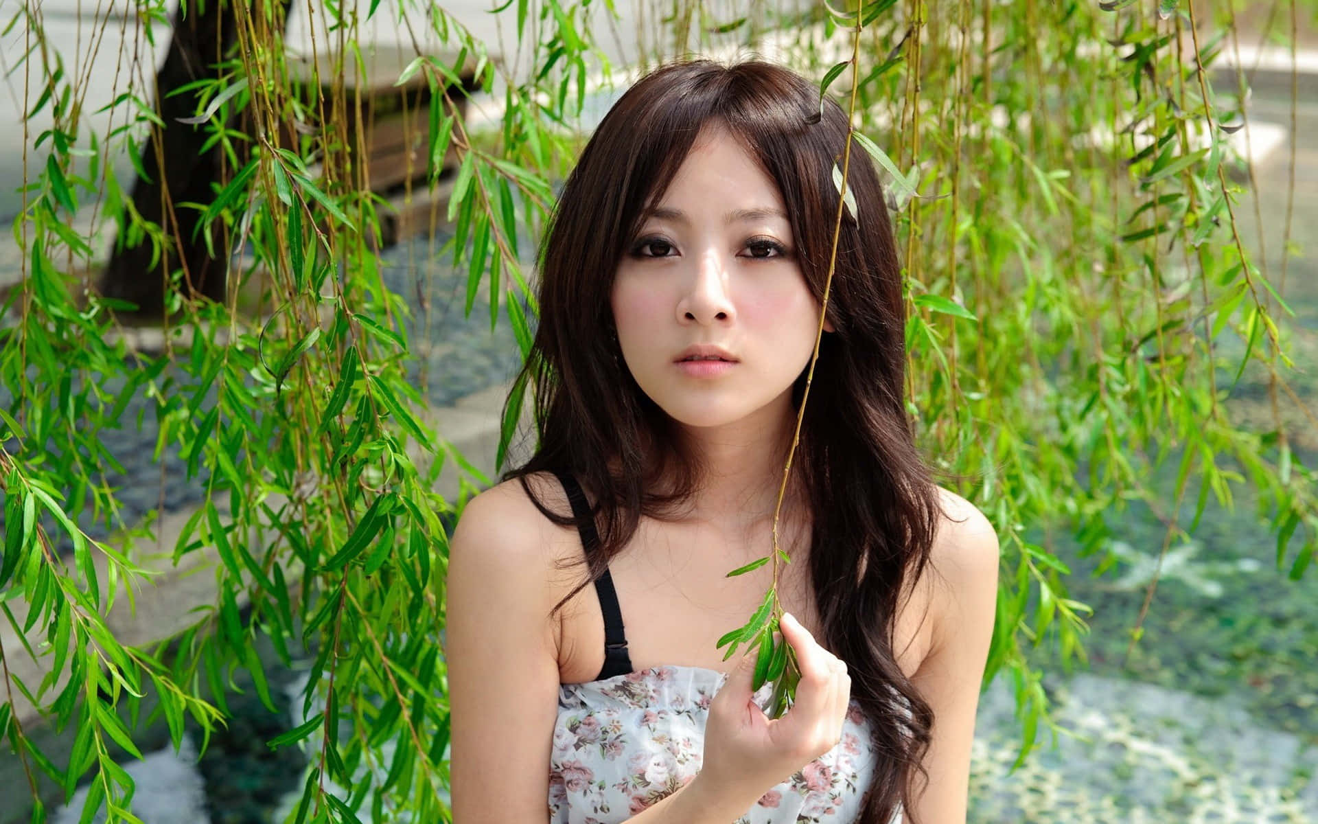 young woman, long dark hair, weeping willow branches, Full HD Desktop Wallpaper
