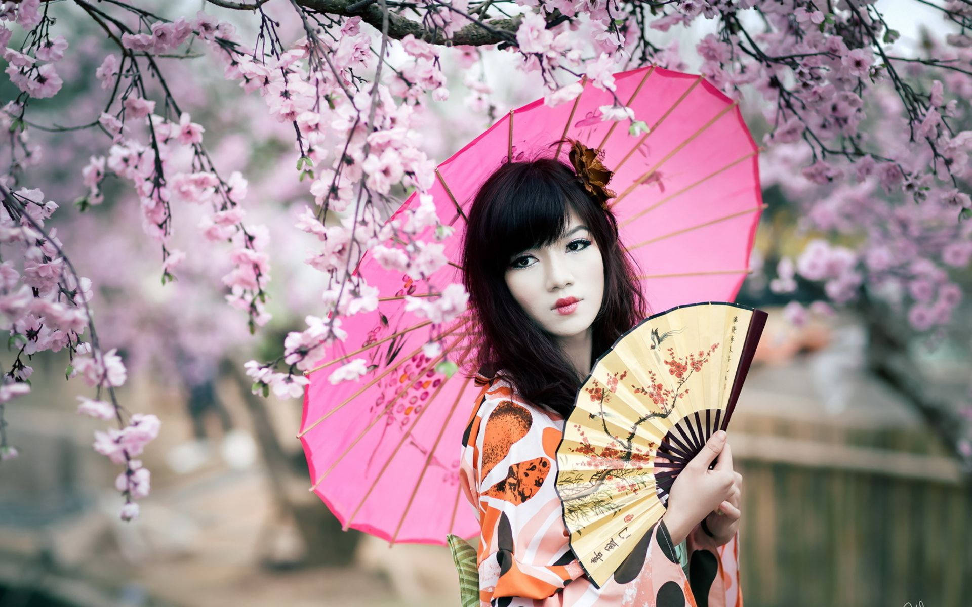 pink parasol, colorful kimono, cherry blossoms, Full HD Desktop Wallpaper