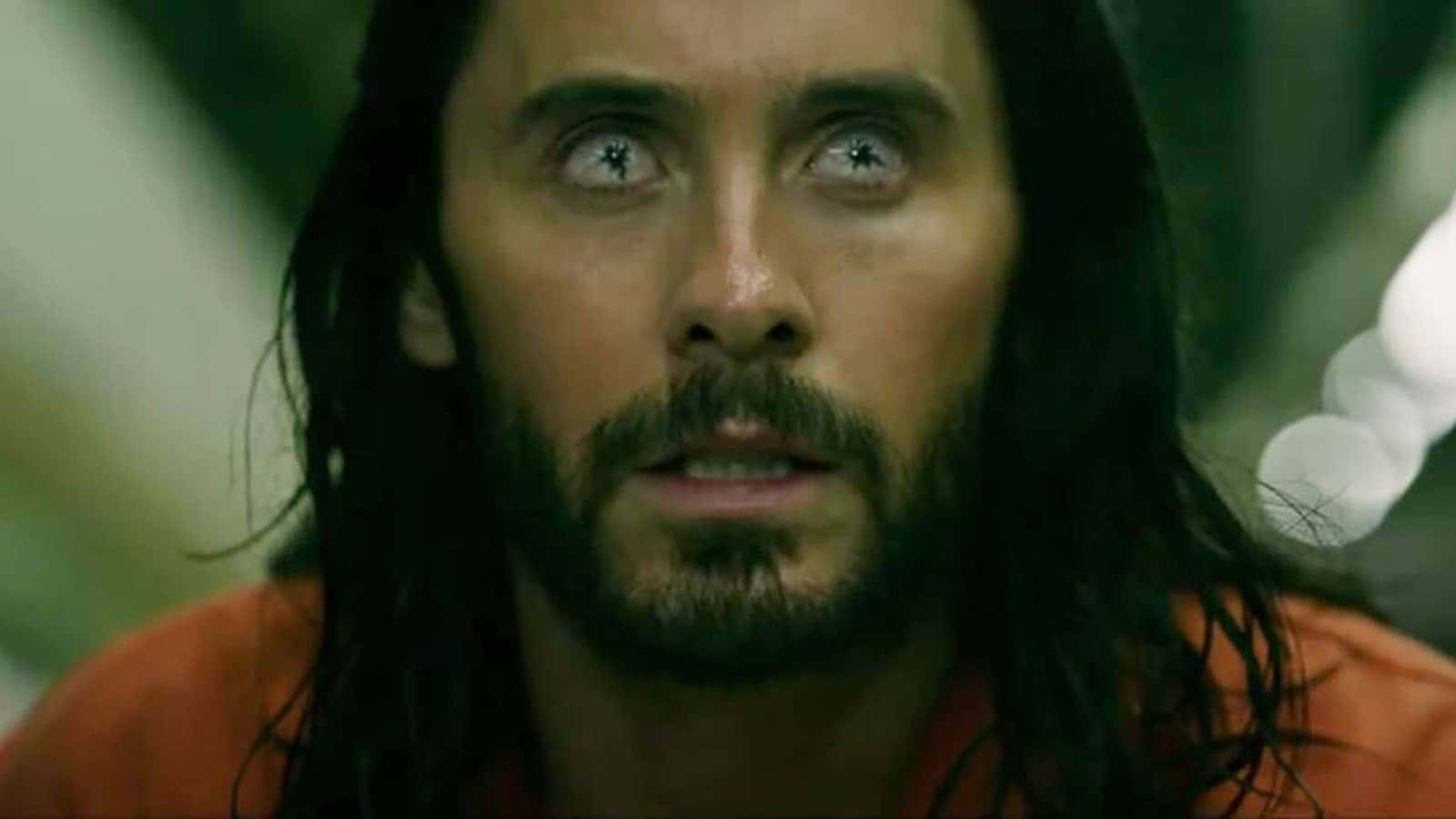 Jared Leto, long dark hair, beard, HD Desktop Wallpaper
