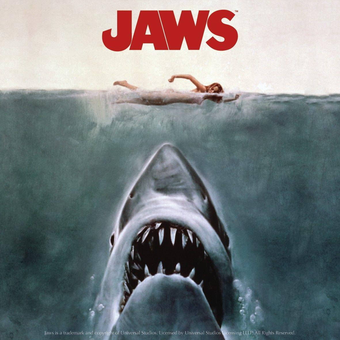 Jaws, great white shark, calm ocean waters, SD Desktop Wallpaper