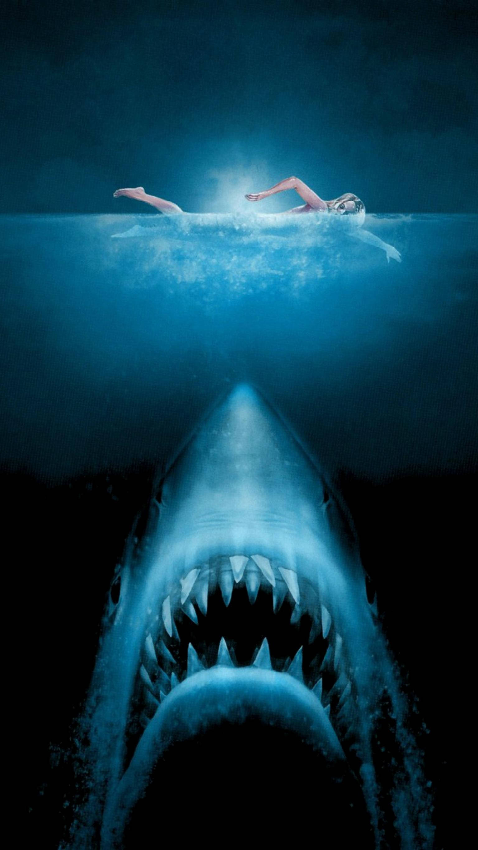 Jaws, shark, beach, 2K Phone Wallpaper