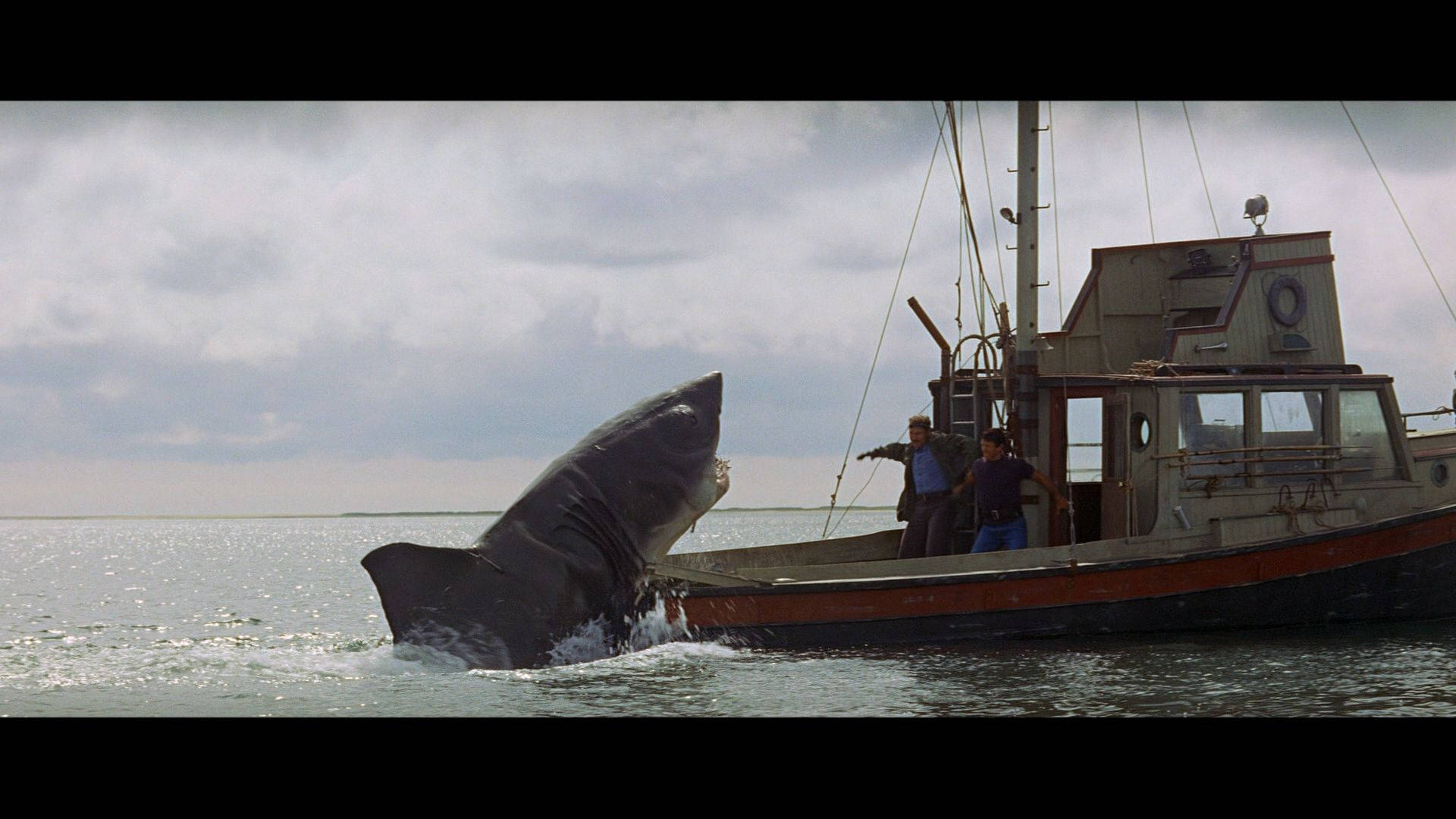 Jaws, great white shark, ocean, Full HD Desktop Wallpaper