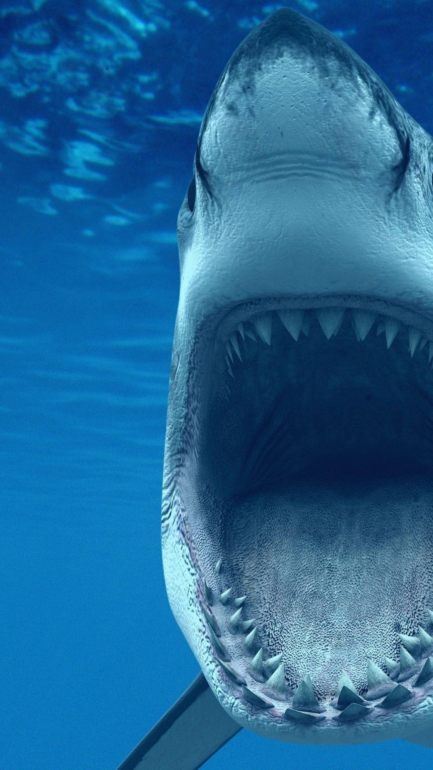 Jaws, great white shark, open mouth, 2K Phone Wallpaper