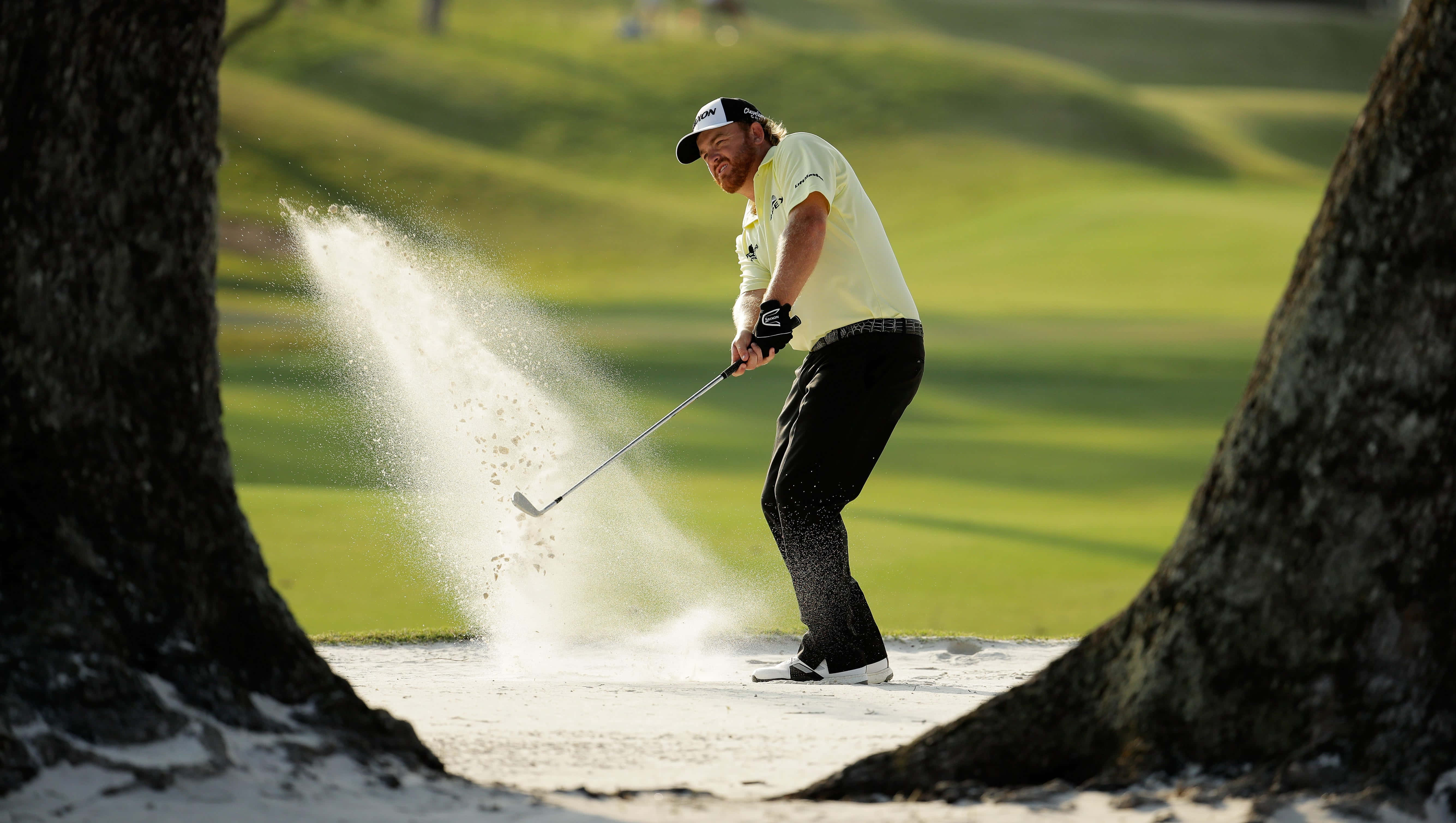 Jb Holmes, sand trap, tree trunks, 5K Desktop Wallpaper