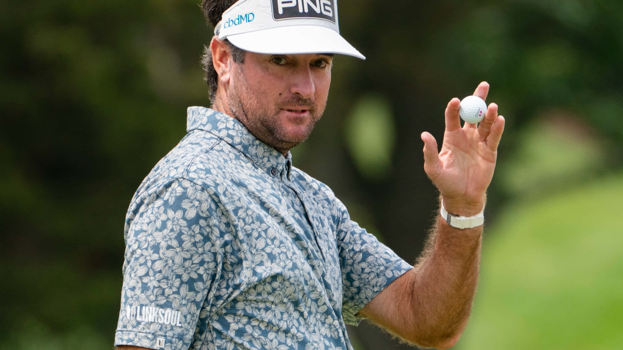JB Holmes, Ping cap, floral shirt, 2K Desktop Wallpaper