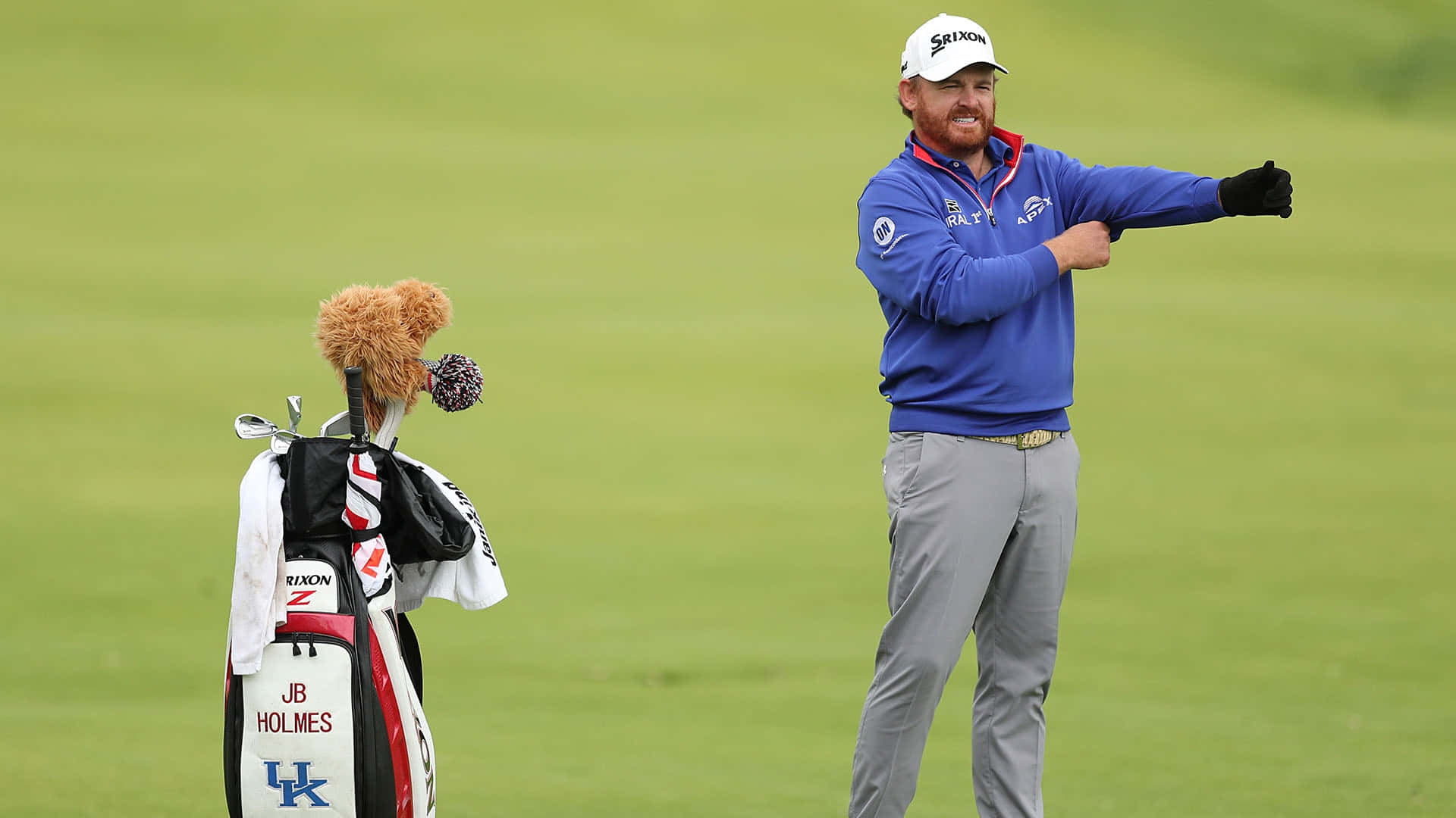 JB Holmes, golf bag, teddy bear headcover, Full HD Desktop Wallpaper