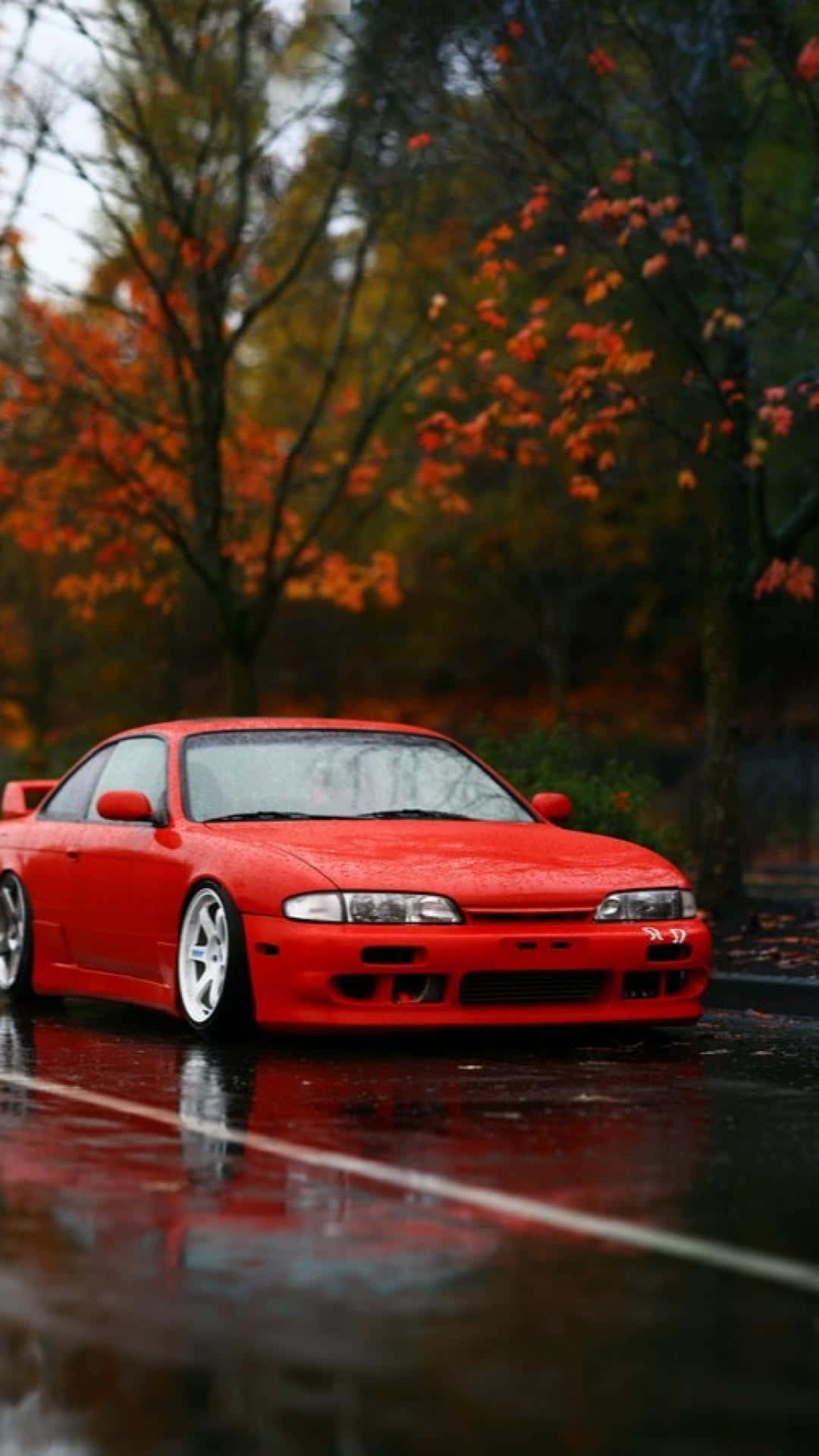 vibrant red sports car, wet autumn road, fiery orange leaves, Full HD Phone Wallpaper