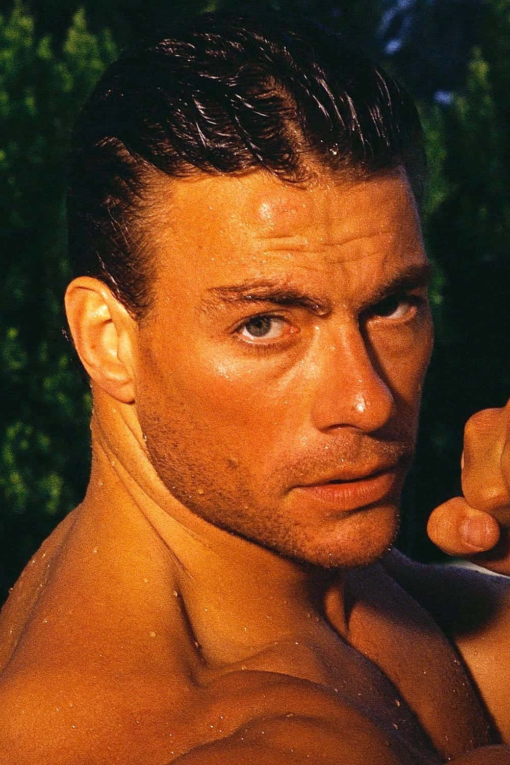 Jean Claude Van Damme, wet hair, skin, HD Phone Wallpaper