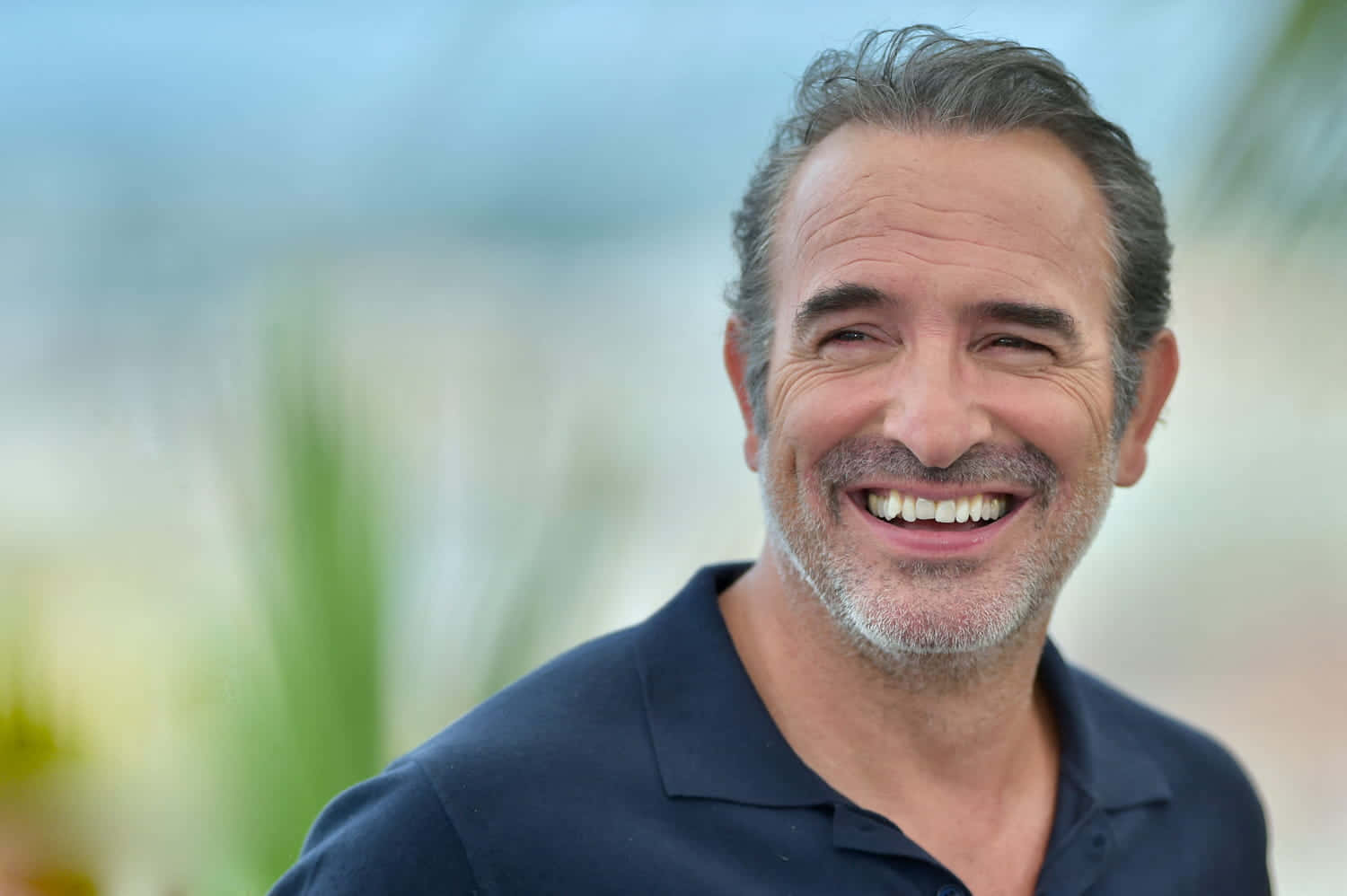 Jean Dujardin, navy polo shirt, gray hair, HD Desktop Wallpaper