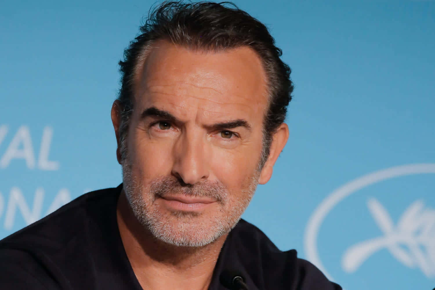 Jean Dujardin, graying hair, beard, HD Desktop Wallpaper