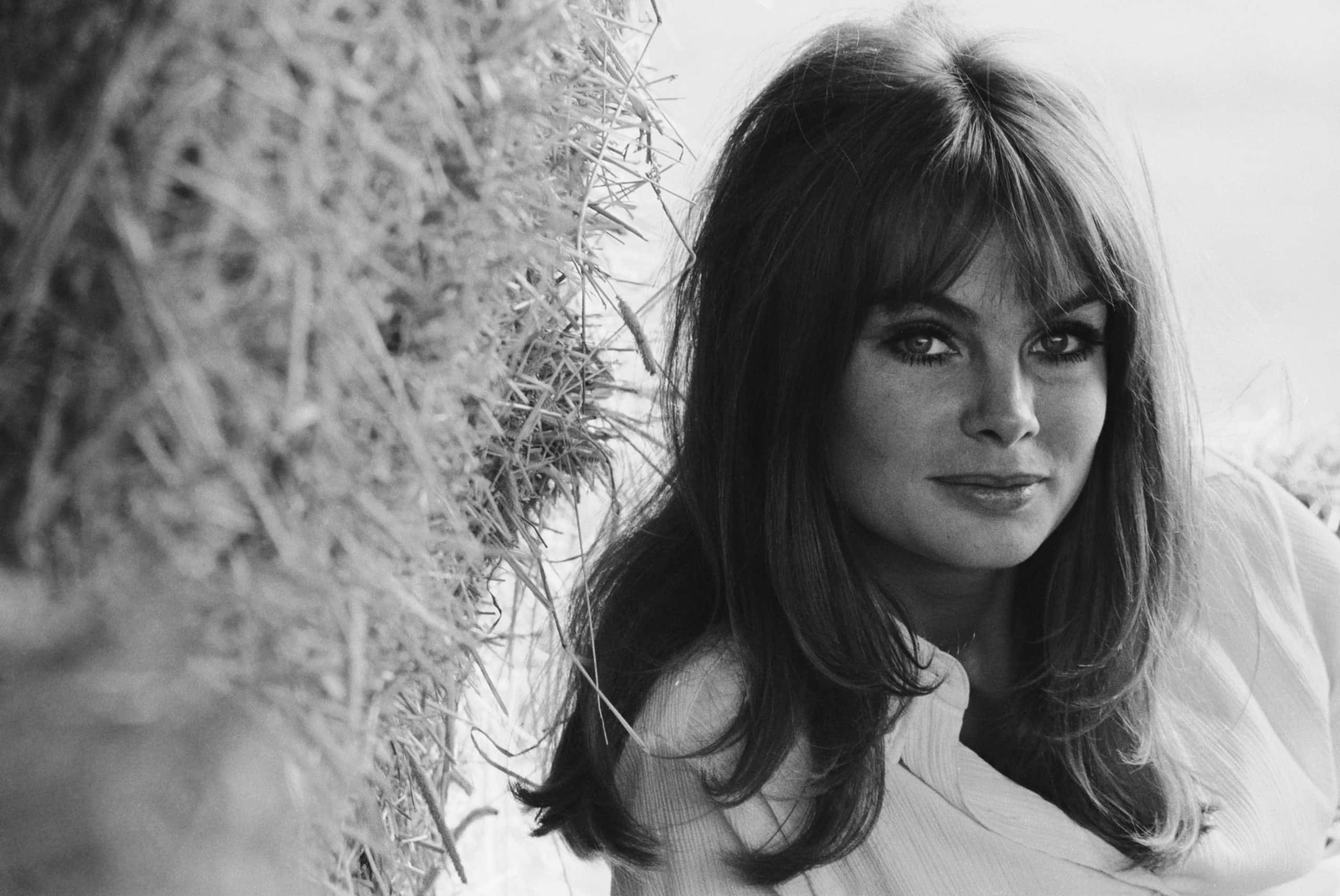 Jean Shrimpton, 1960s, black and white portrait, 2K Desktop Wallpaper