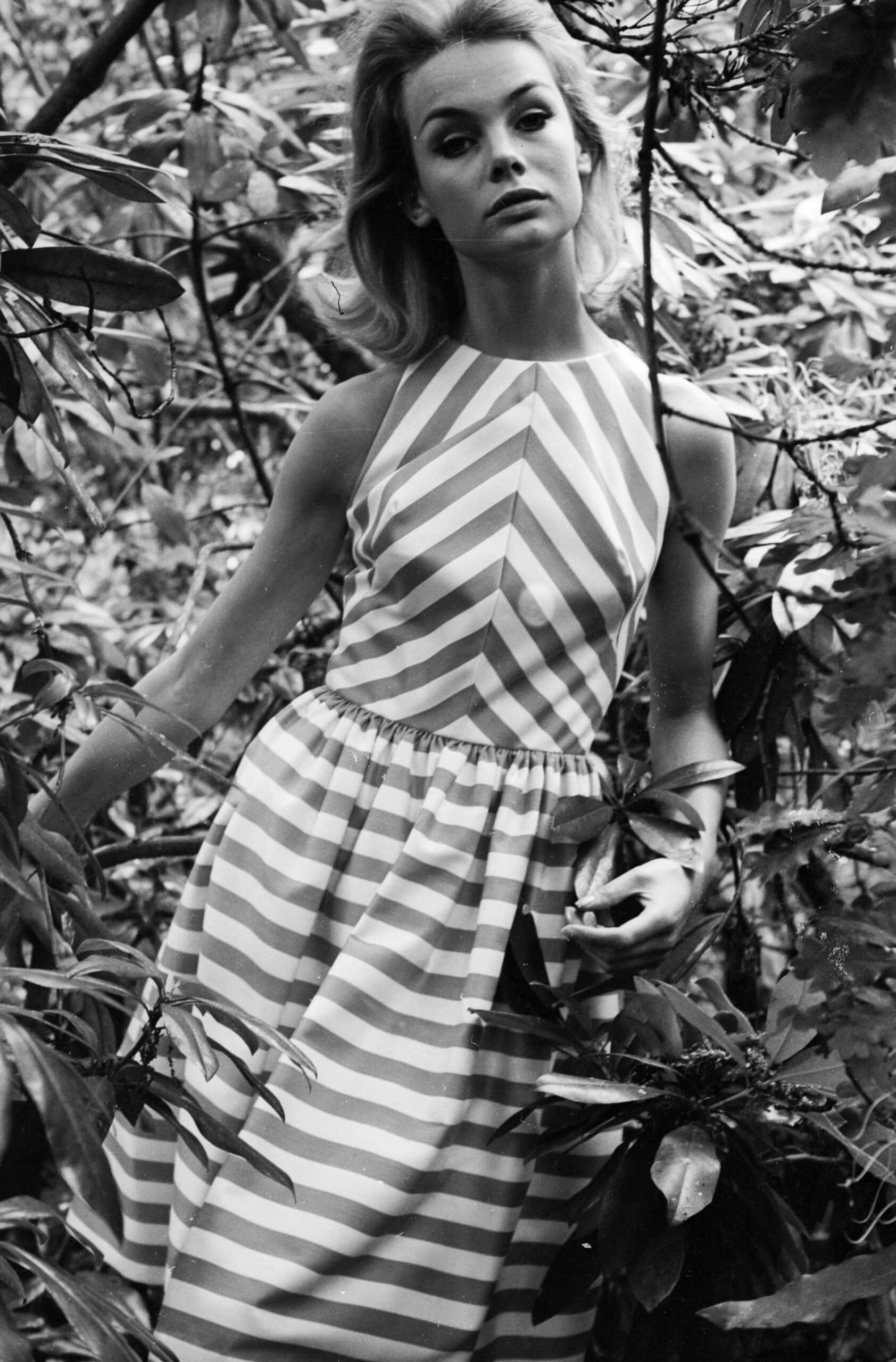 Jean Shrimpton, striped dress, dense foliage, 2K Phone Wallpaper