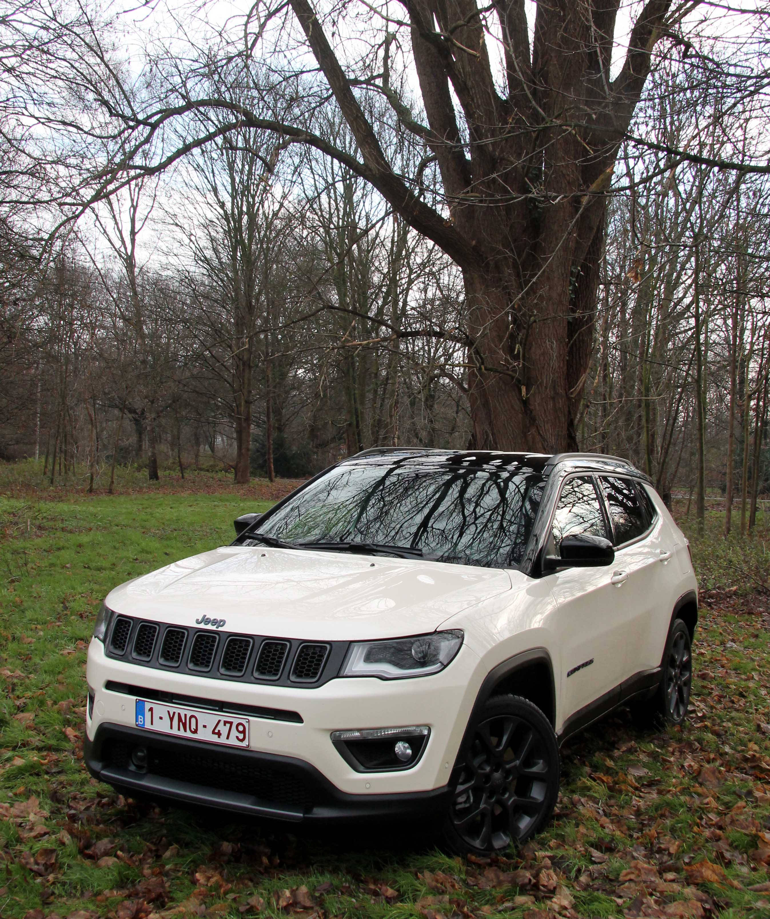 Jeep Compass, white, grass, 2K Phone Wallpaper