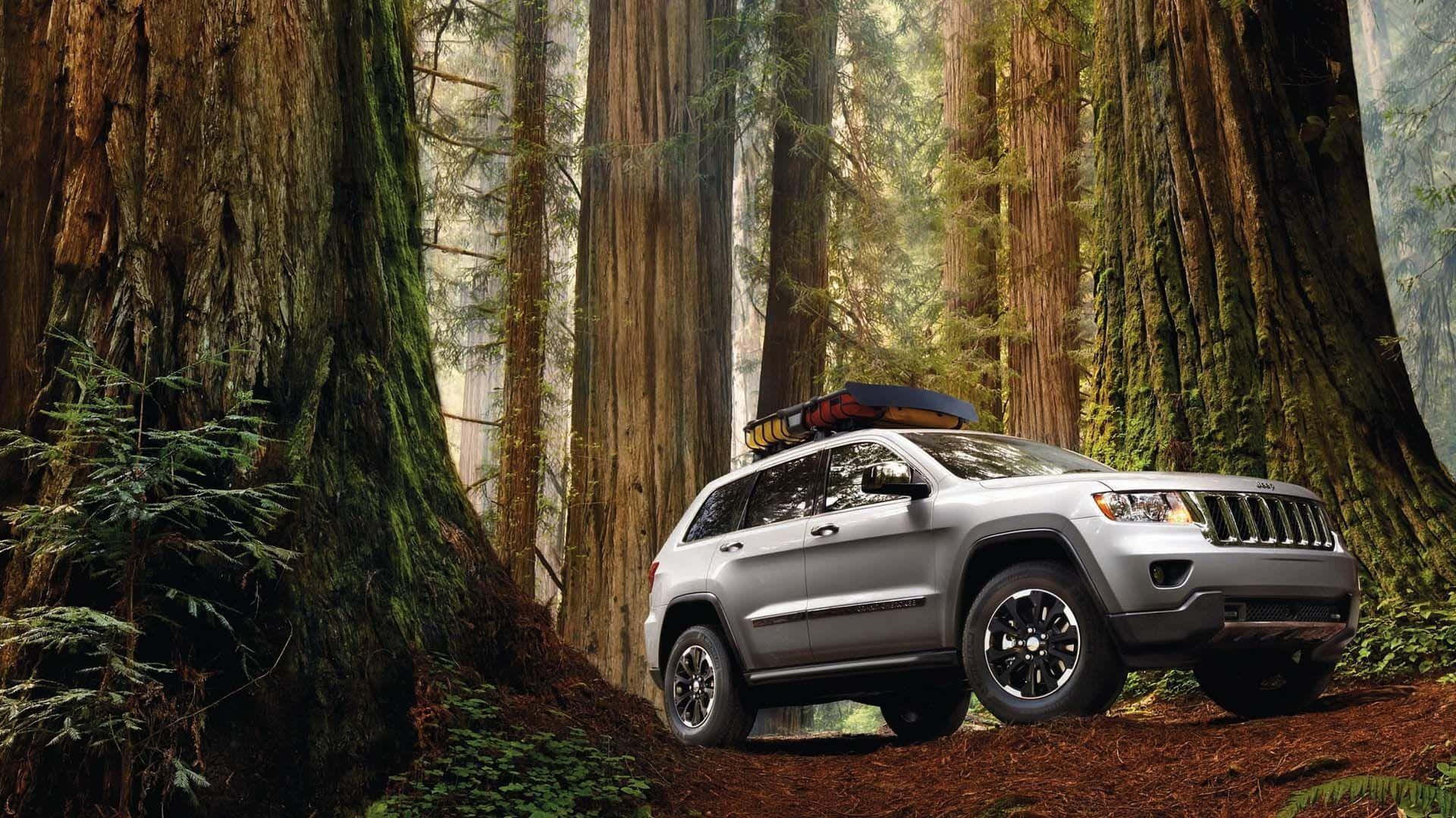 Jeep Grand Cherokee, silver, roof cargo, Full HD Desktop Wallpaper