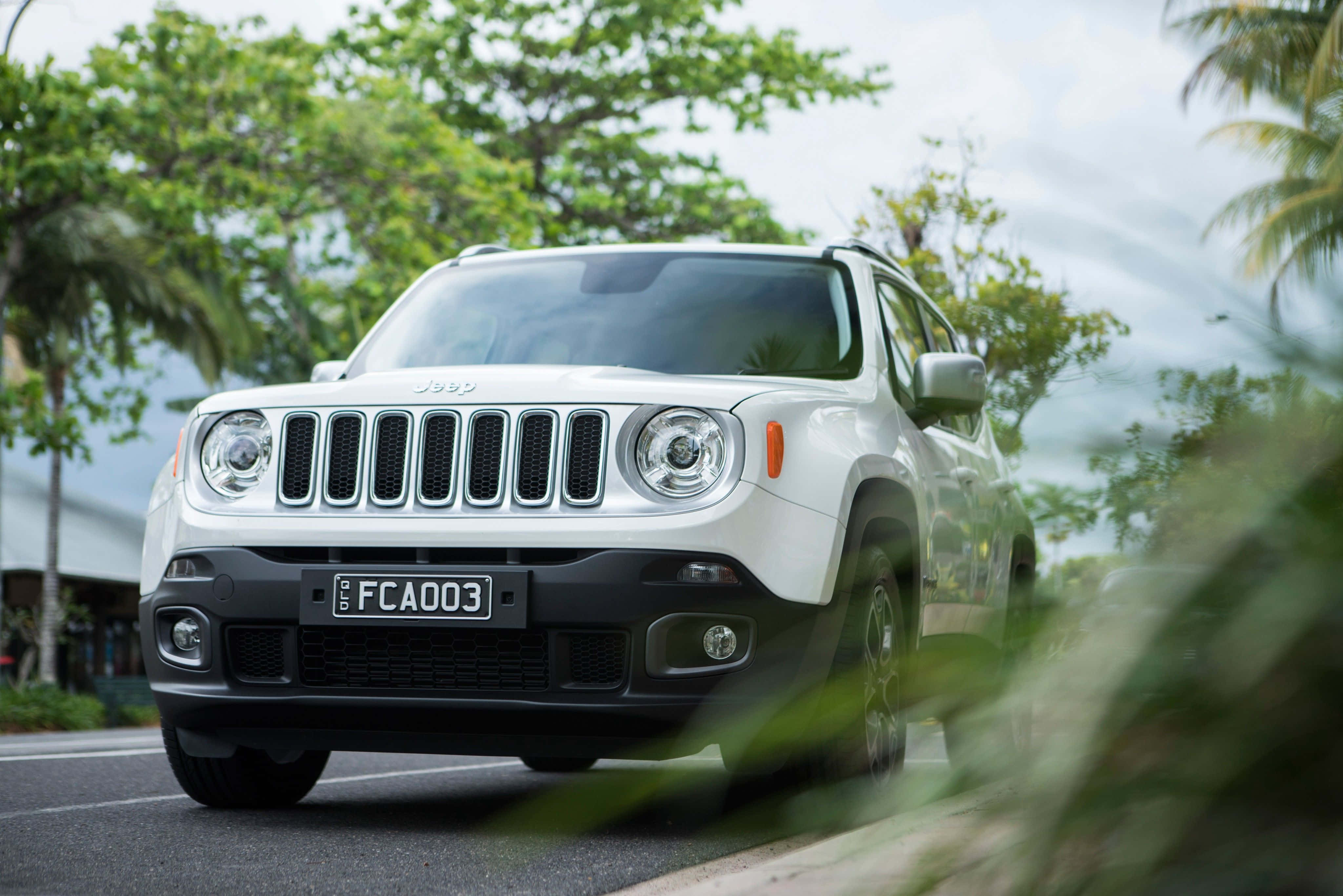 Jeep Renegade, white, tree-lined road, 4K Desktop Wallpaper