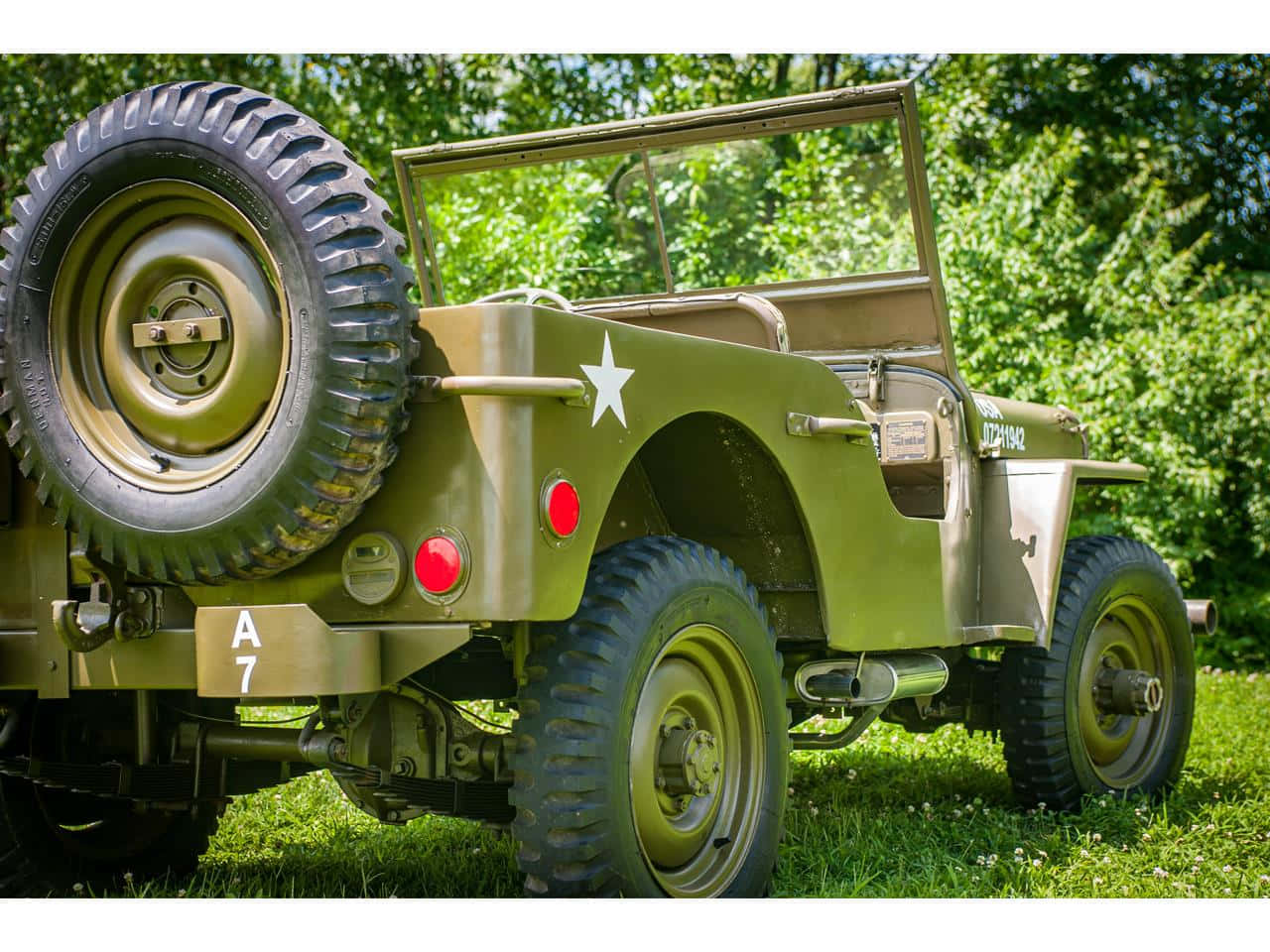 Jeep Willys, olive green, white star emblem, HD Desktop Wallpaper