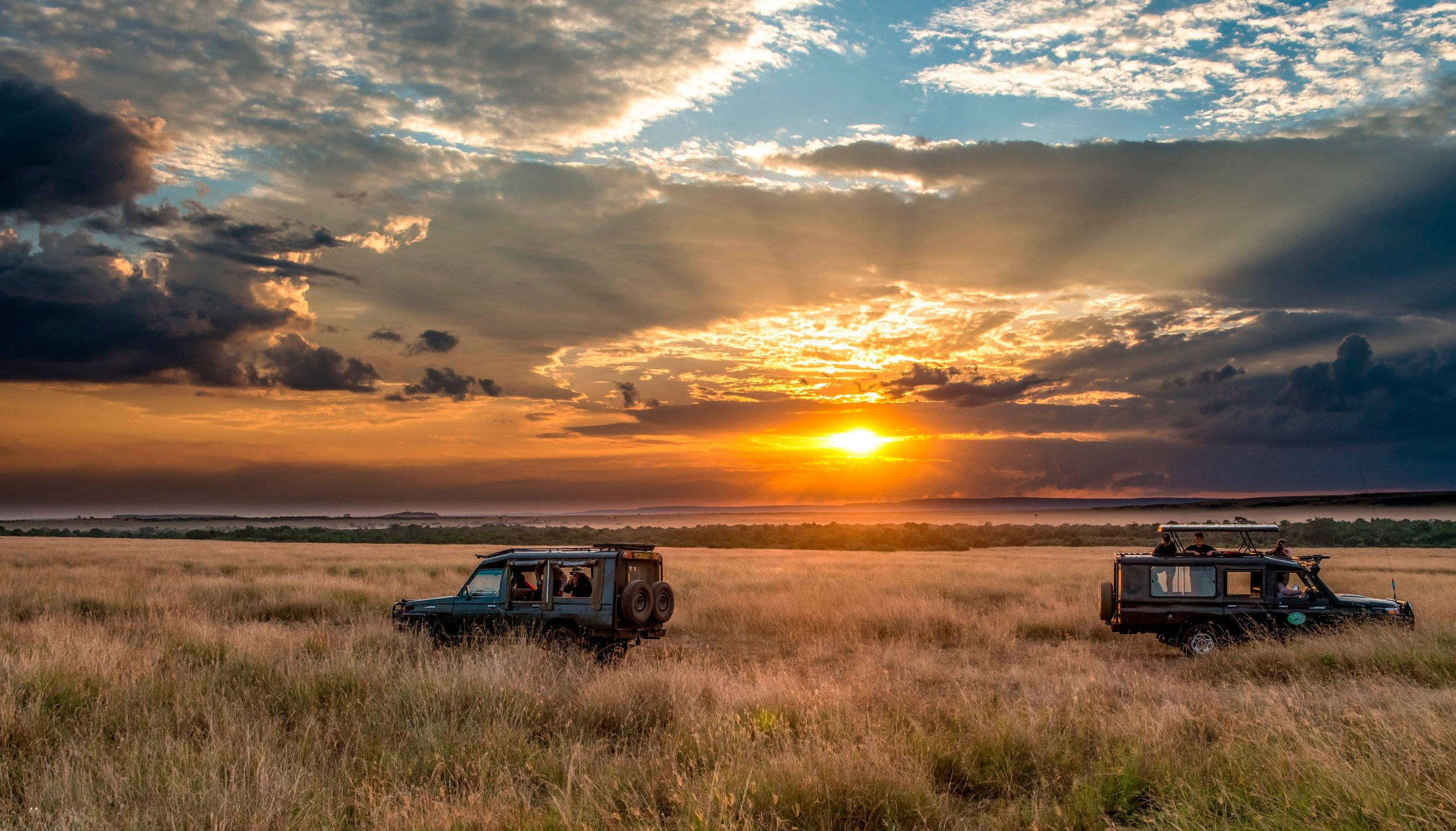 safari jeeps, golden grass, sun sets, Full HD Desktop Wallpaper