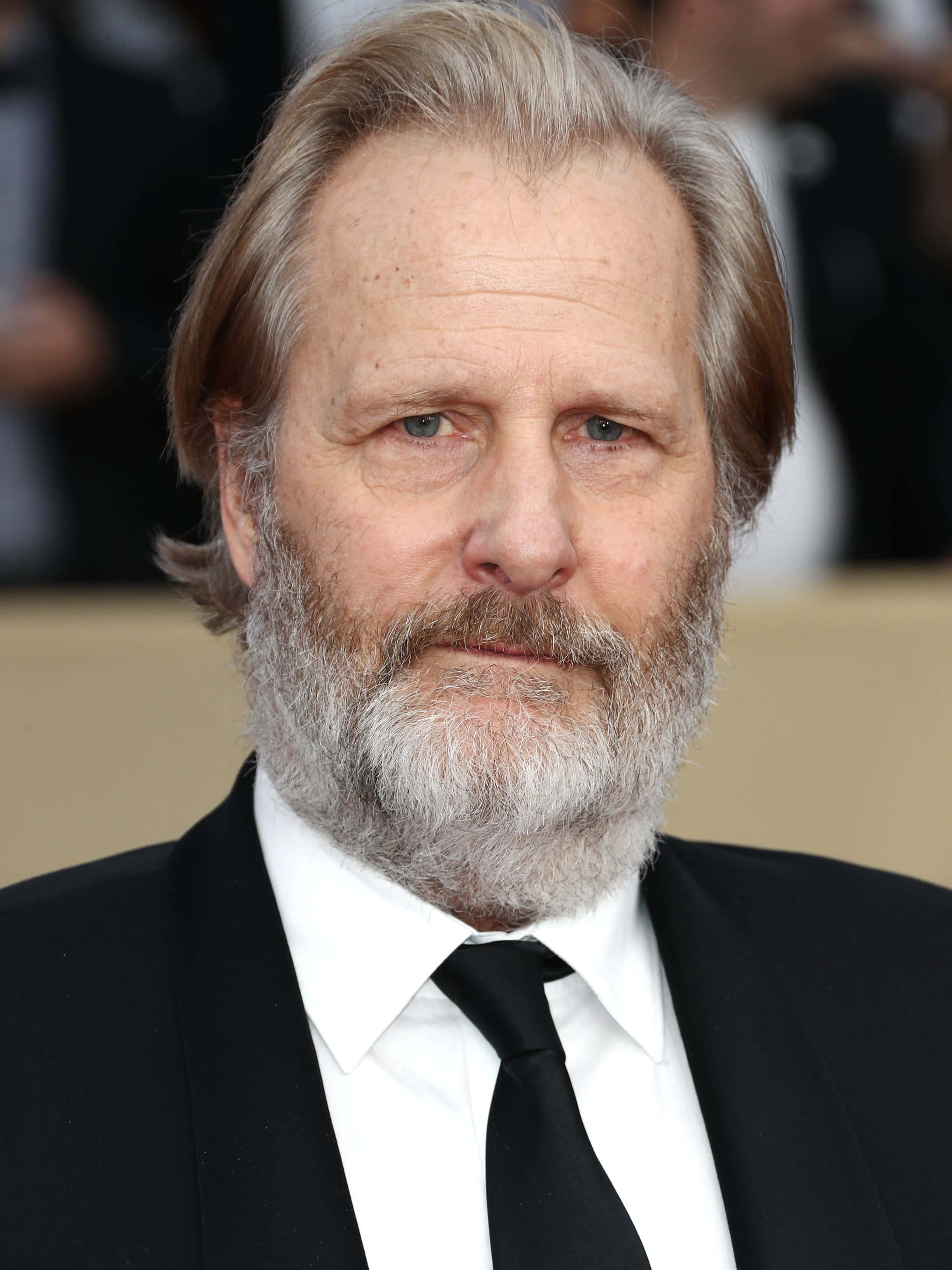 Jeff Daniels, gray beard, gray hair, 2K Phone Wallpaper