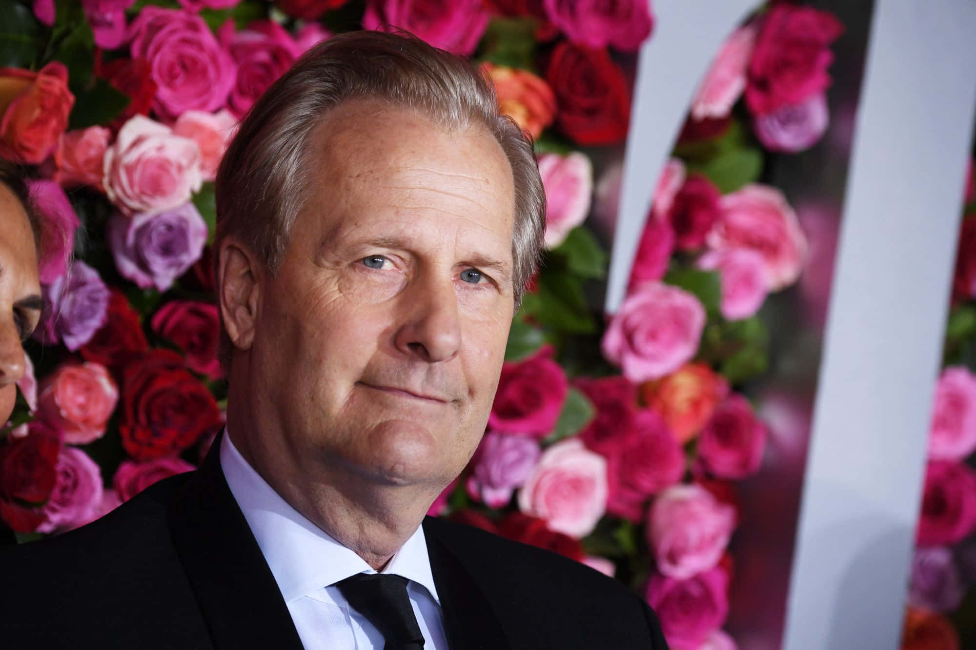 Jeff Daniels, black suit, pink and red roses, Full HD Desktop Wallpaper