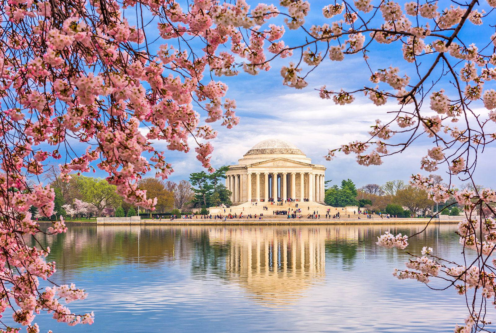Jefferson Memorial, pink cherry blossoms, calm waters, HD Desktop Wallpaper