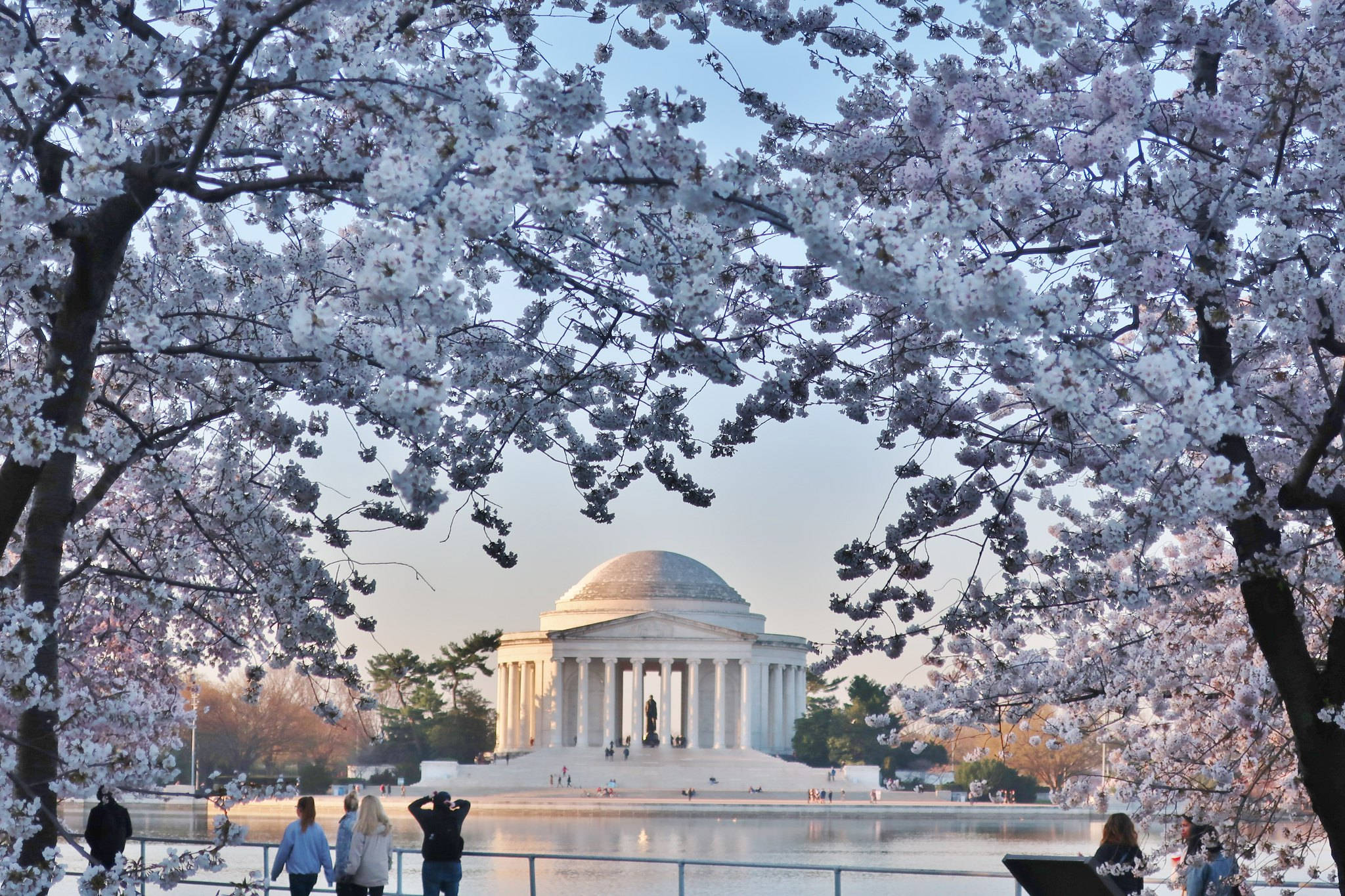 Jefferson Memorial, Cherry blossoms, sunrise, Full HD Desktop Wallpaper