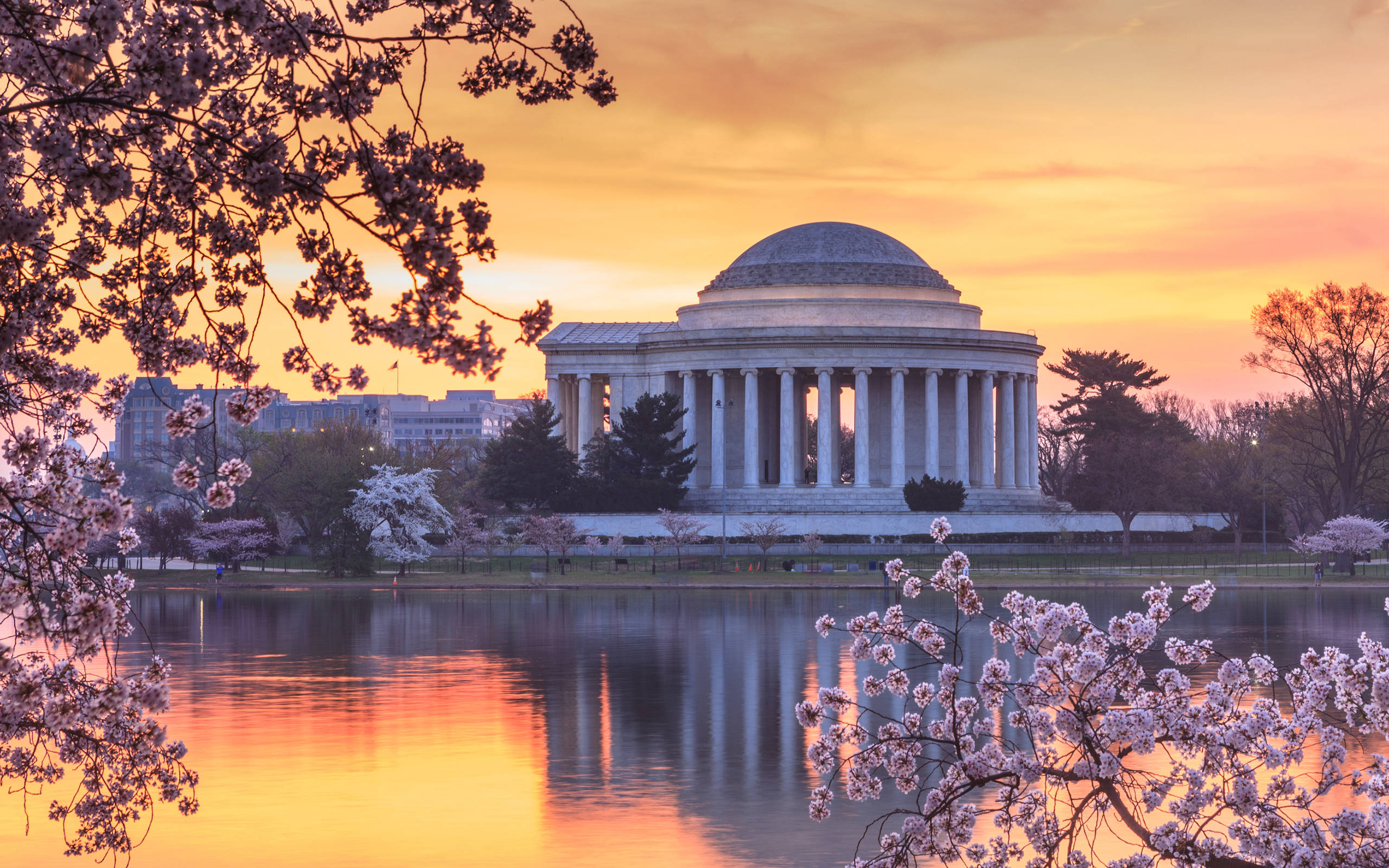 Jefferson Memorial, golden sunset light, cherry blossoms, 2K Desktop Wallpaper