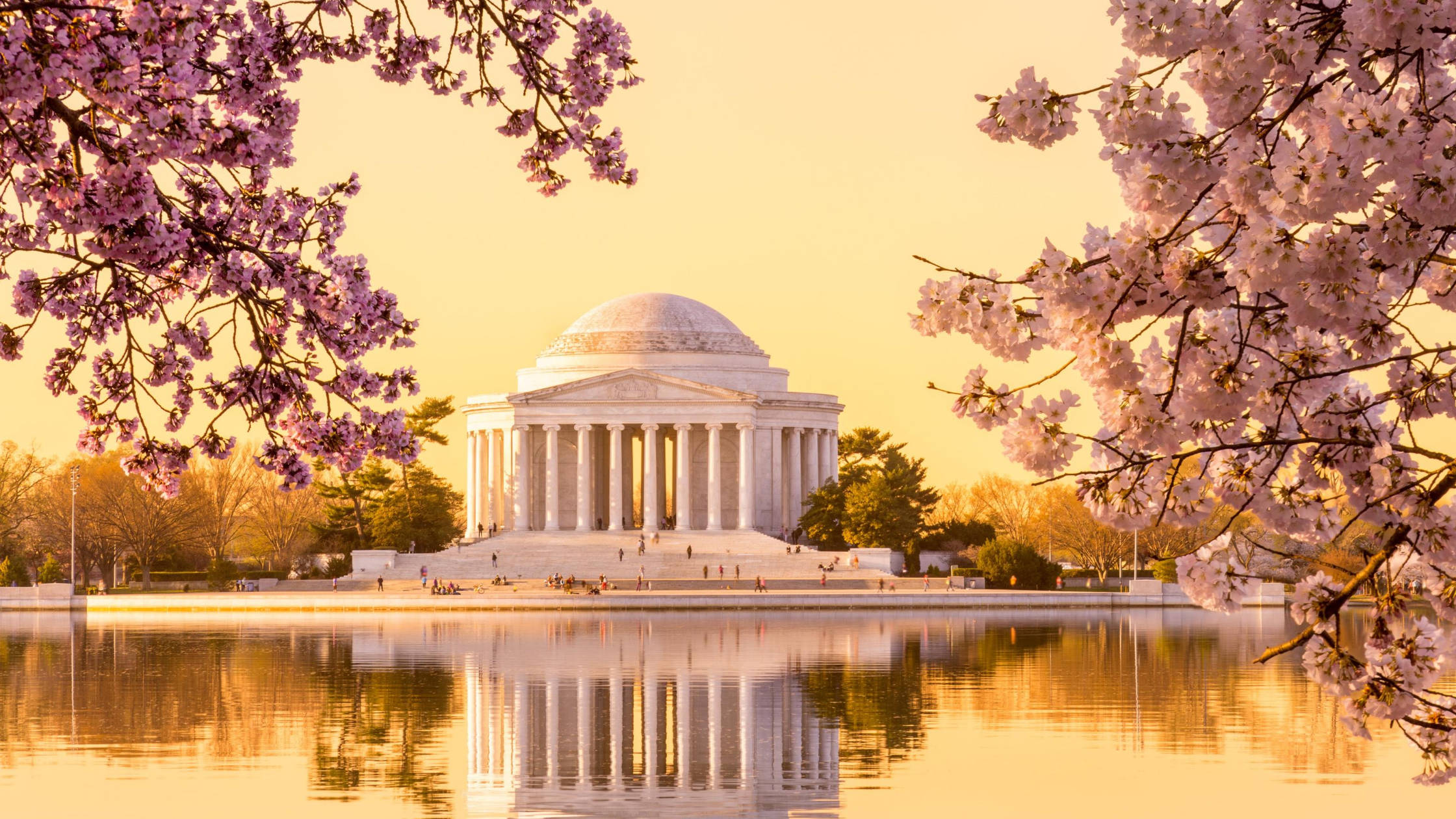 Jefferson Memorial, yellow sky, pink cherry blossoms, Full HD Desktop Wallpaper