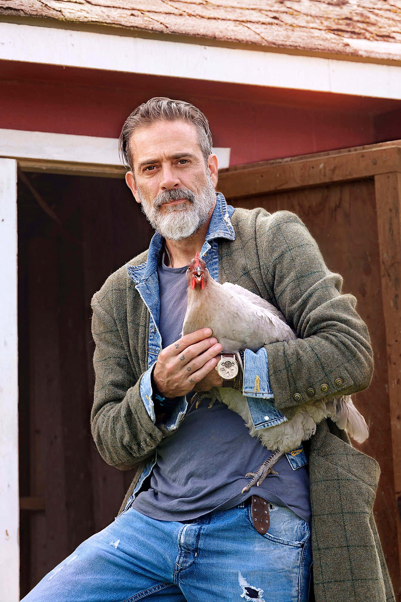 Jeffrey Dean Morgan, tweed jacket, chicken, Full HD Phone Wallpaper