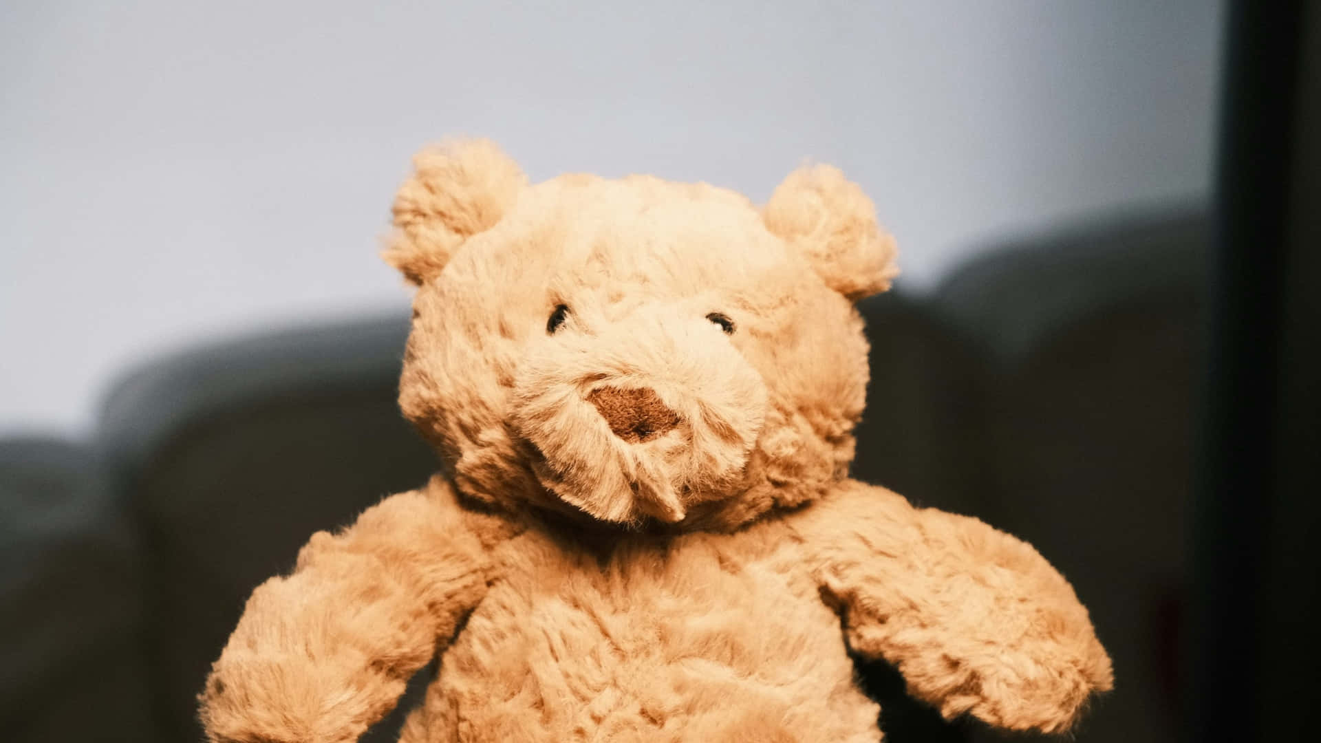 Jellycat, soft plush bear, tan teddy bear, Full HD Desktop Wallpaper