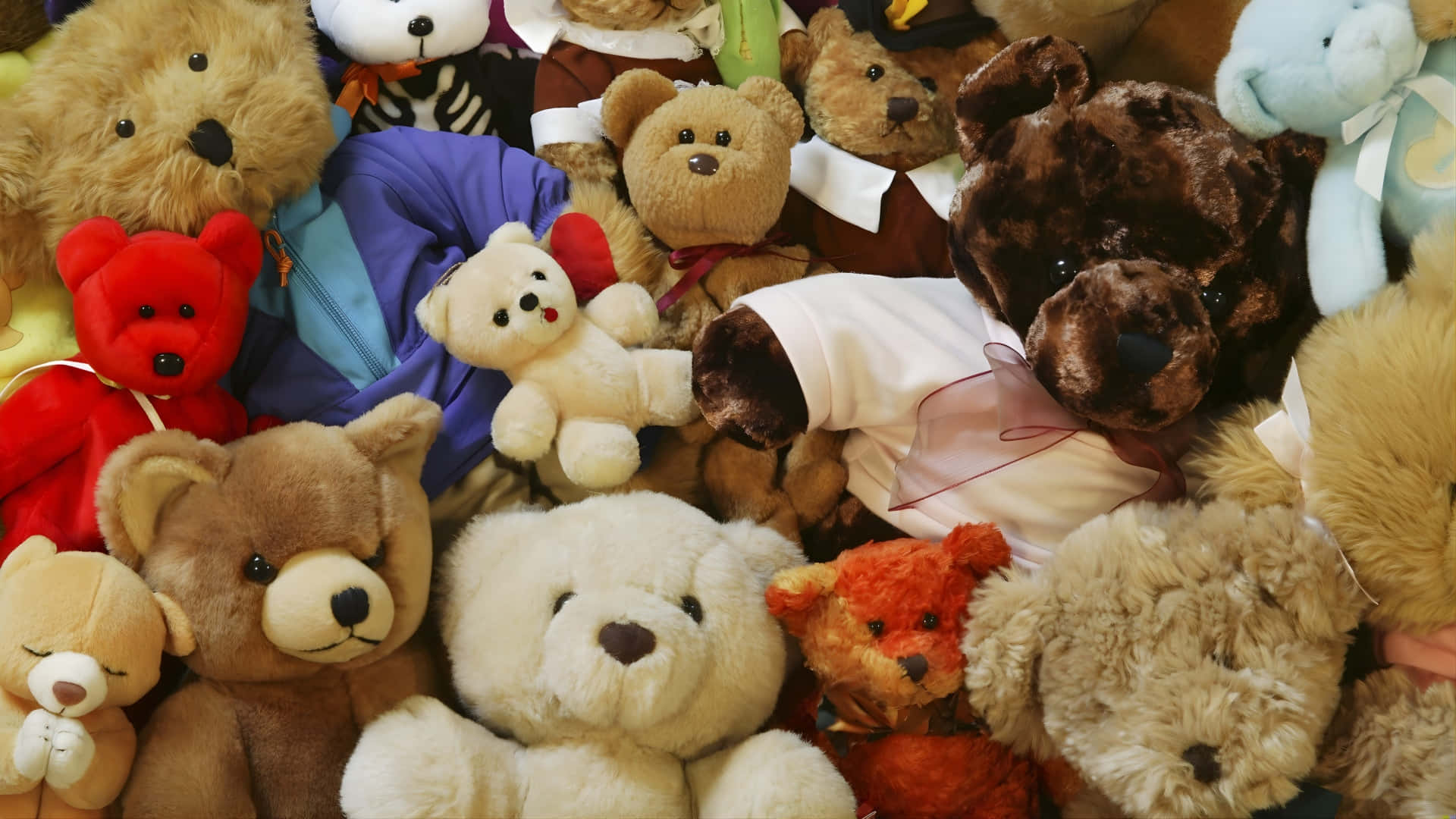 Jellycat, plush toy collection, teddy bears, Full HD Desktop Wallpaper