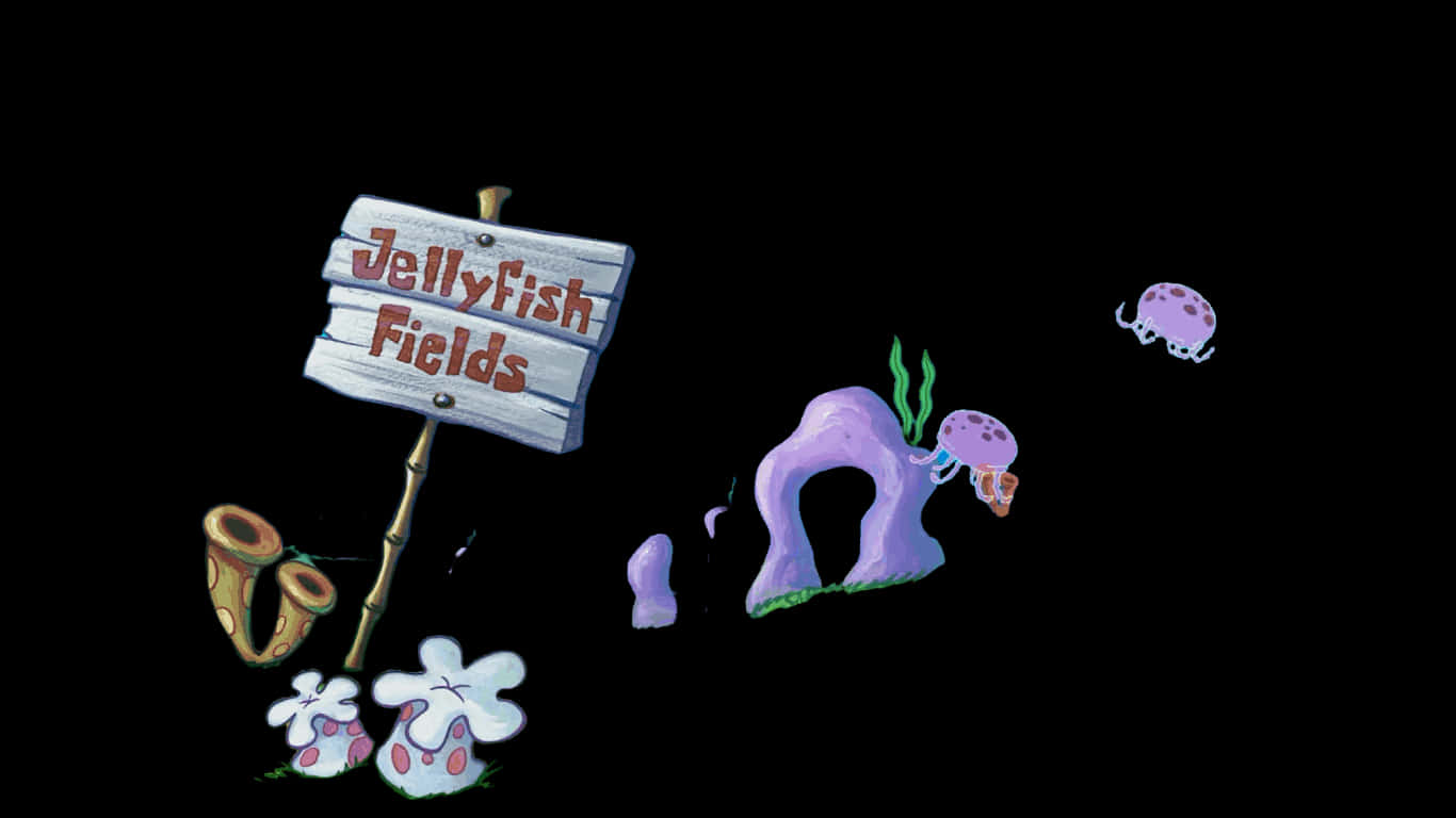 Jellyfish Fields, purple jellyfish, coral, HD Desktop Wallpaper