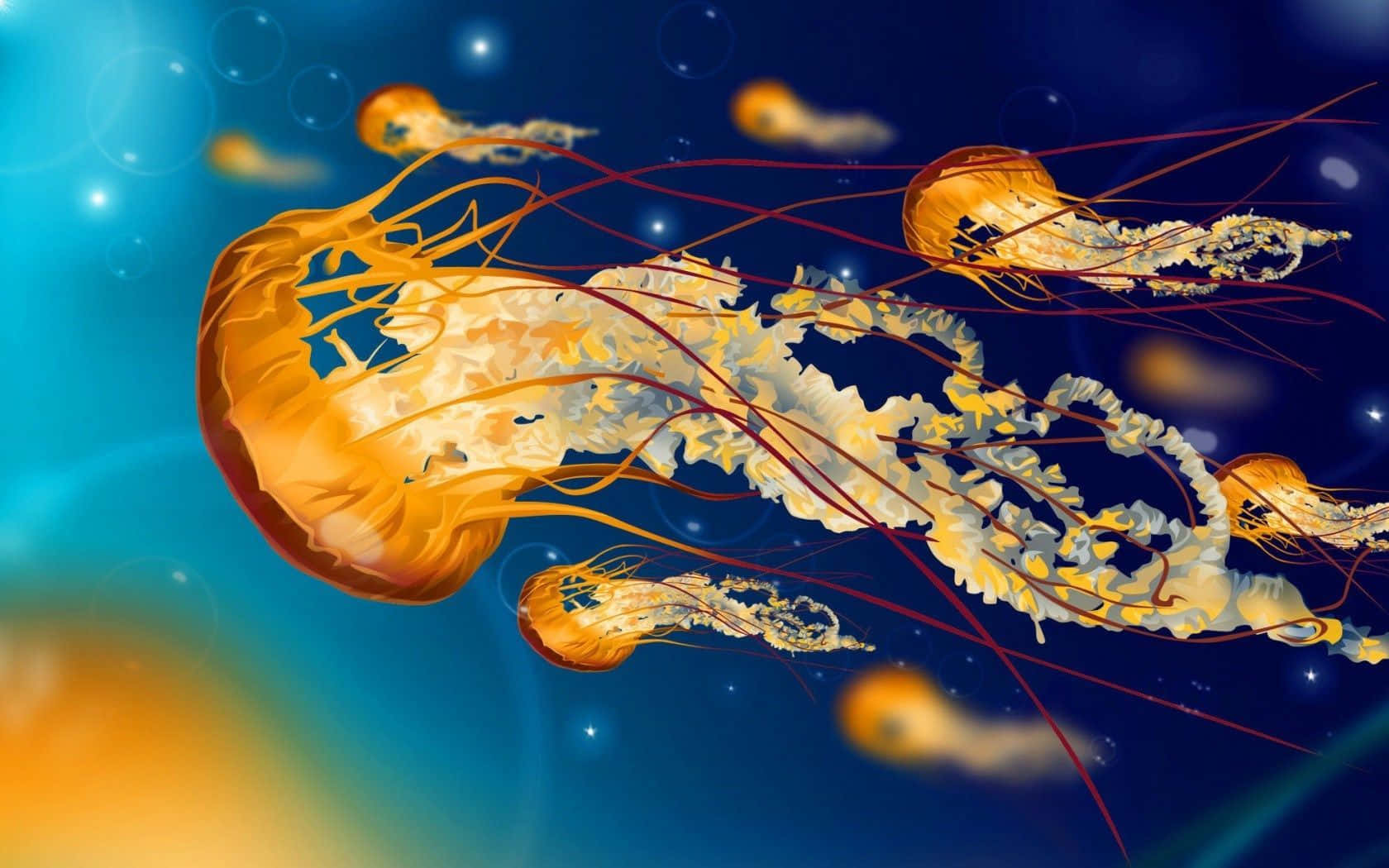 Jellyfish Fields, glowing orange jellyfish, deep blue ocean, HD Desktop Wallpaper