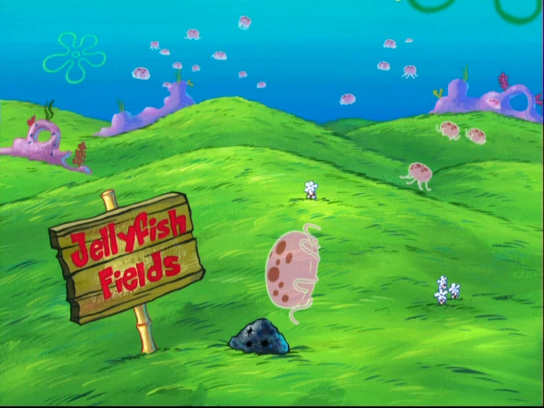 Jellyfish Fields, wooden sign, cartoon underwater landscape, SD Desktop Wallpaper