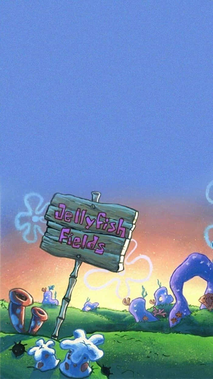 Jellyfish Fields, twilight sky, glowing jellyfish, SD Phone Wallpaper