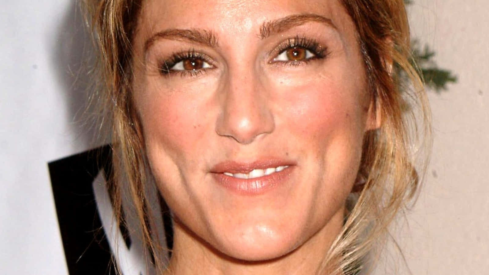 Jennifer Esposito, celebrity event, blonde hair, HD Desktop Wallpaper