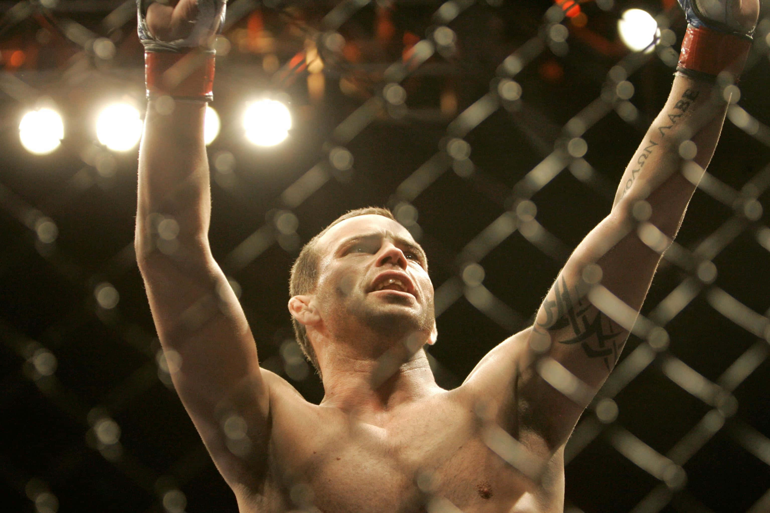 Jens Pulver, mixed martial artist, octagon cage, 2K Desktop Wallpaper