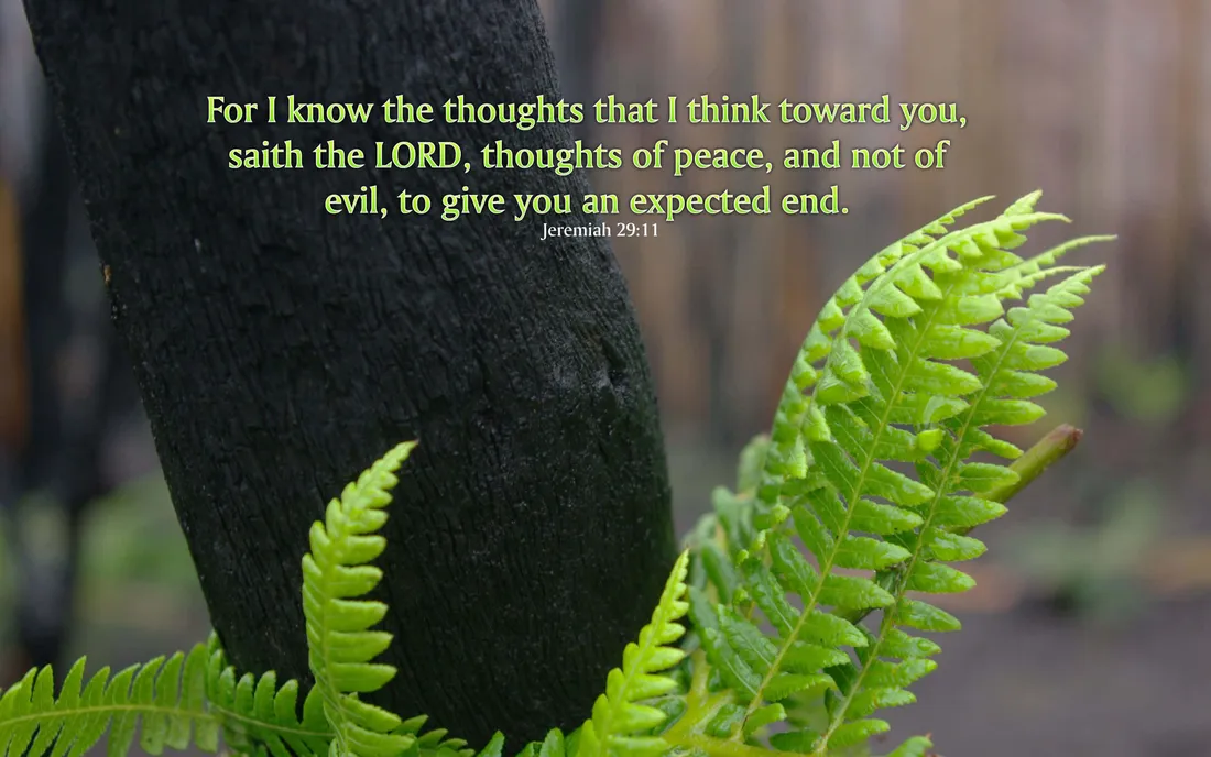 Jeremiah 2911