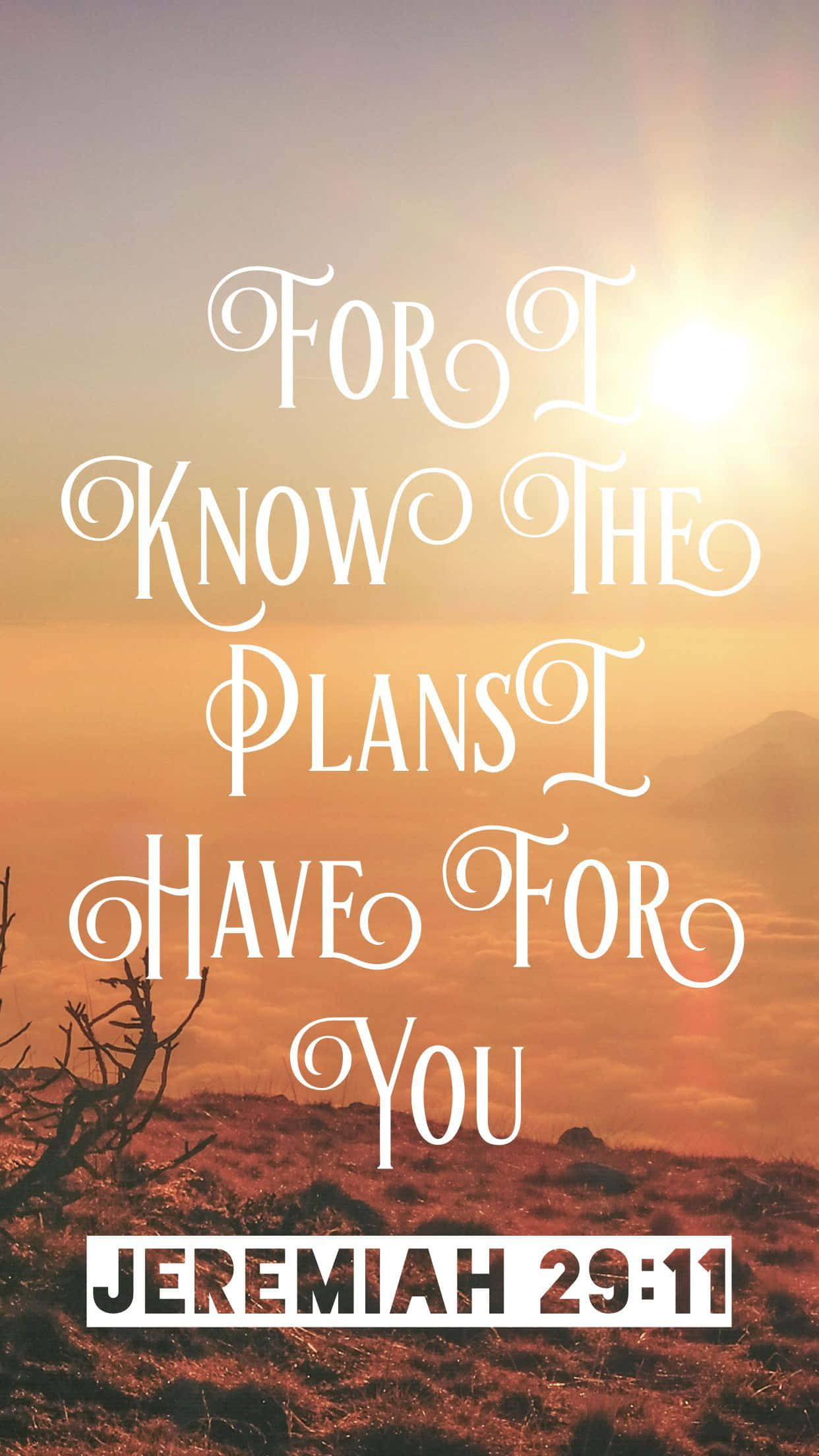 Jeremiah 21 11, Sunset, barren hills, Full HD Phone Wallpaper