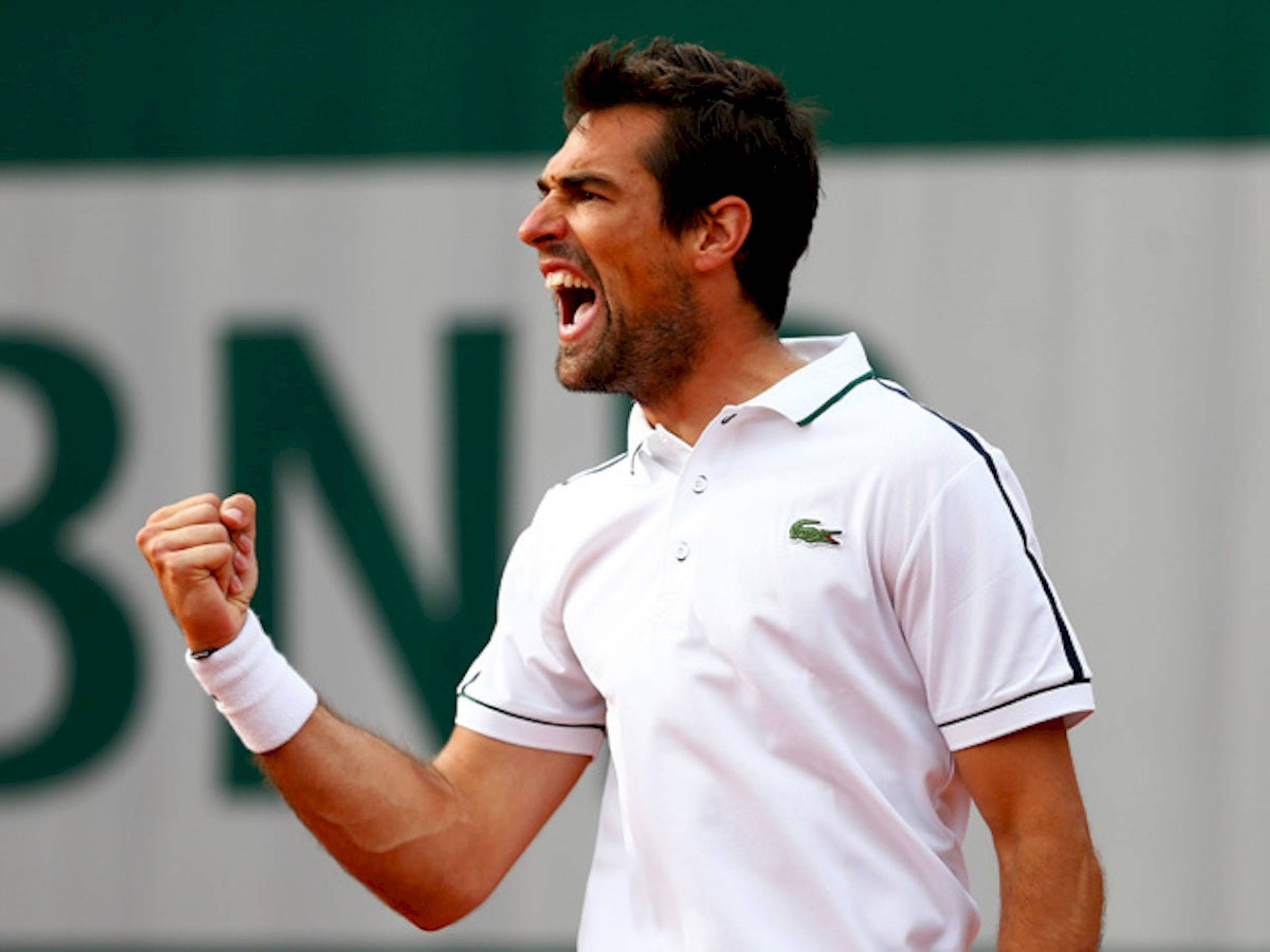 Jeremy Chardy, white polo shirt, clay court, Full HD Desktop Wallpaper