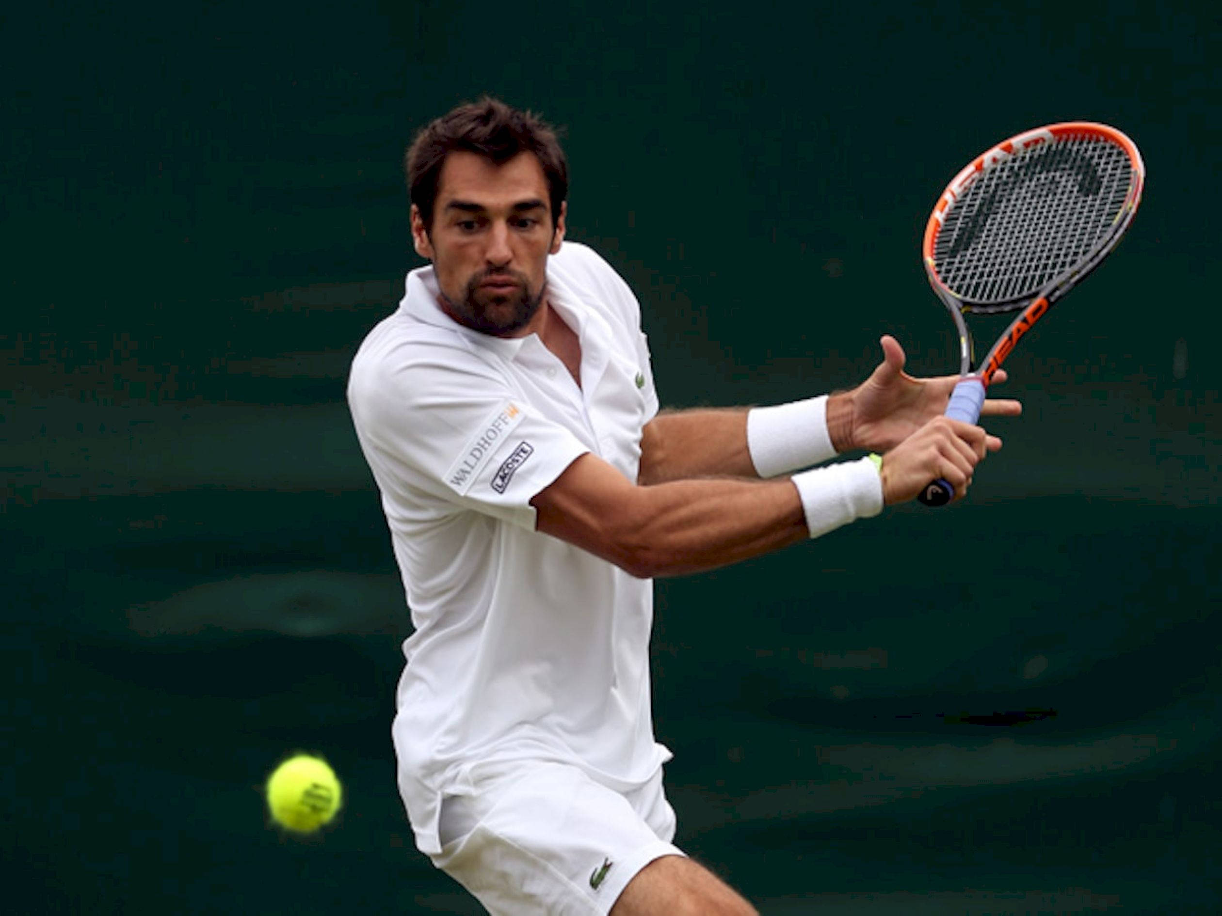 Jeremy Chardy, tennis ball, white attire, Full HD Desktop Wallpaper