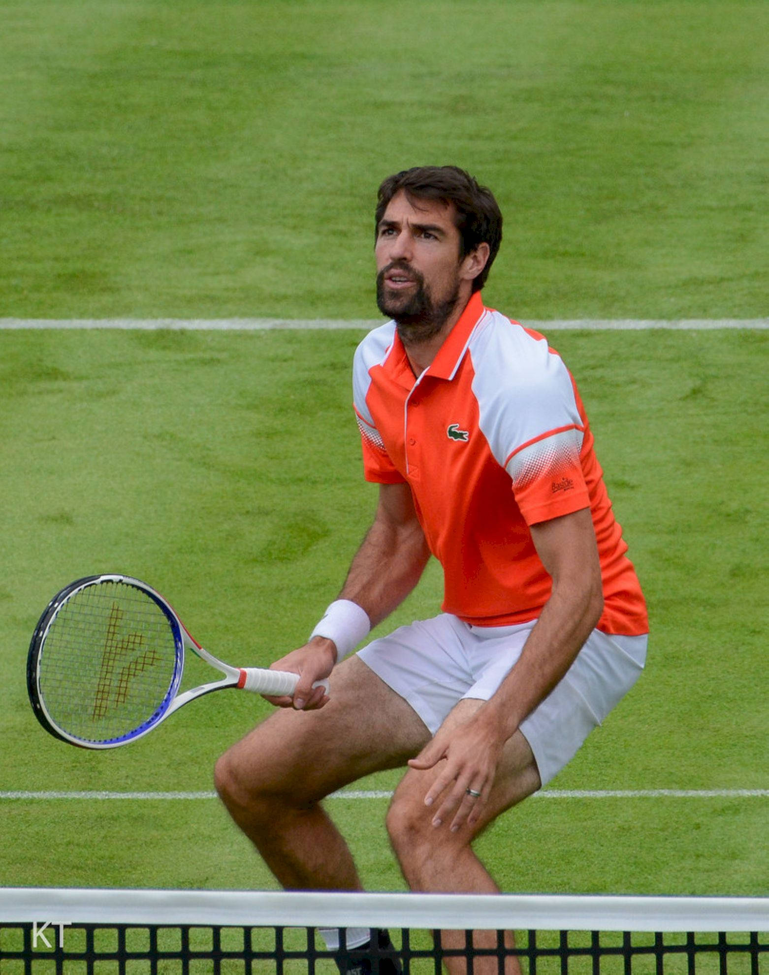 Jeremy Chardy, green tennis court, orange and white gear, Full HD Phone Wallpaper