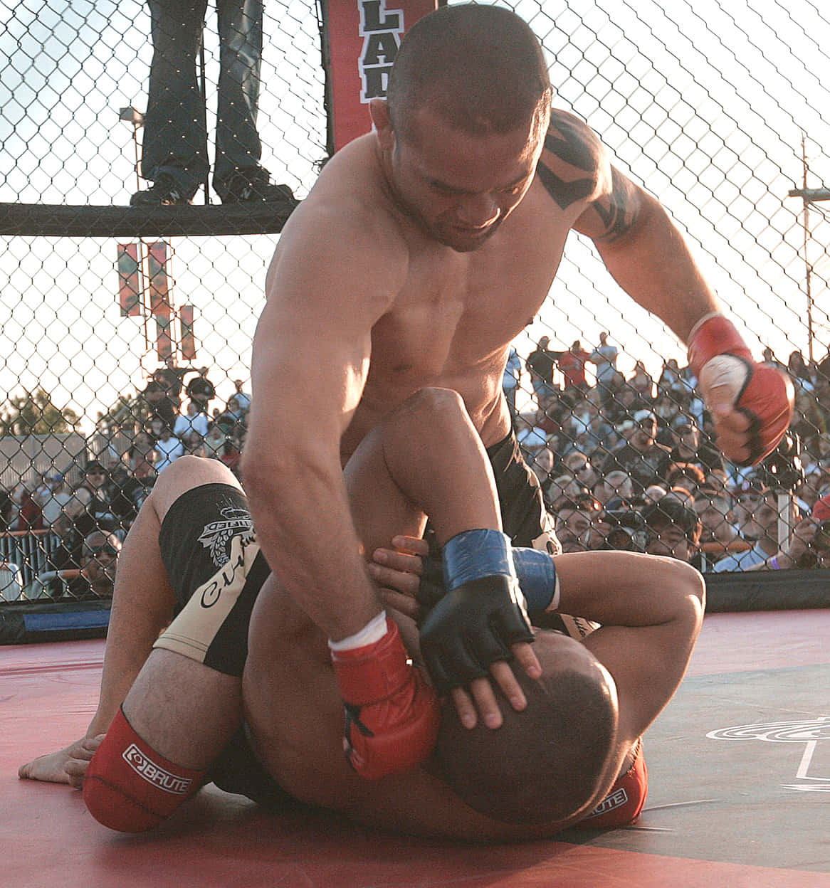 Jeremy Horn, octagon, red MMA mat, SD Phone Wallpaper