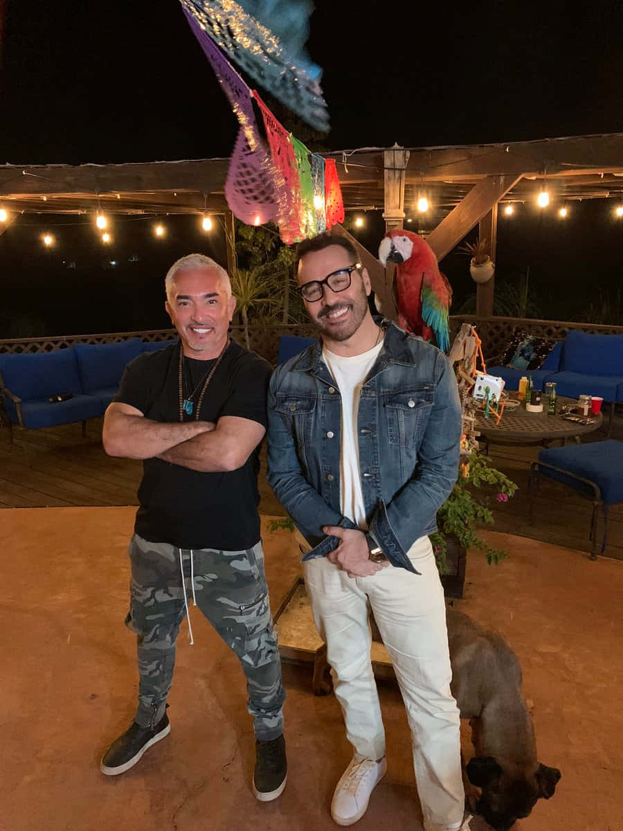 Jeremy Piven, outdoor patio, night, SD Phone Wallpaper