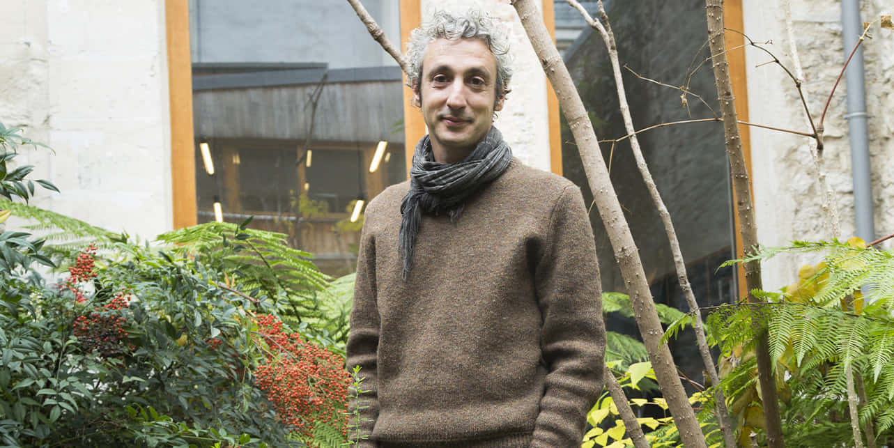 Jérôme Dreyfuss, gray hair, garden, HD Desktop Wallpaper