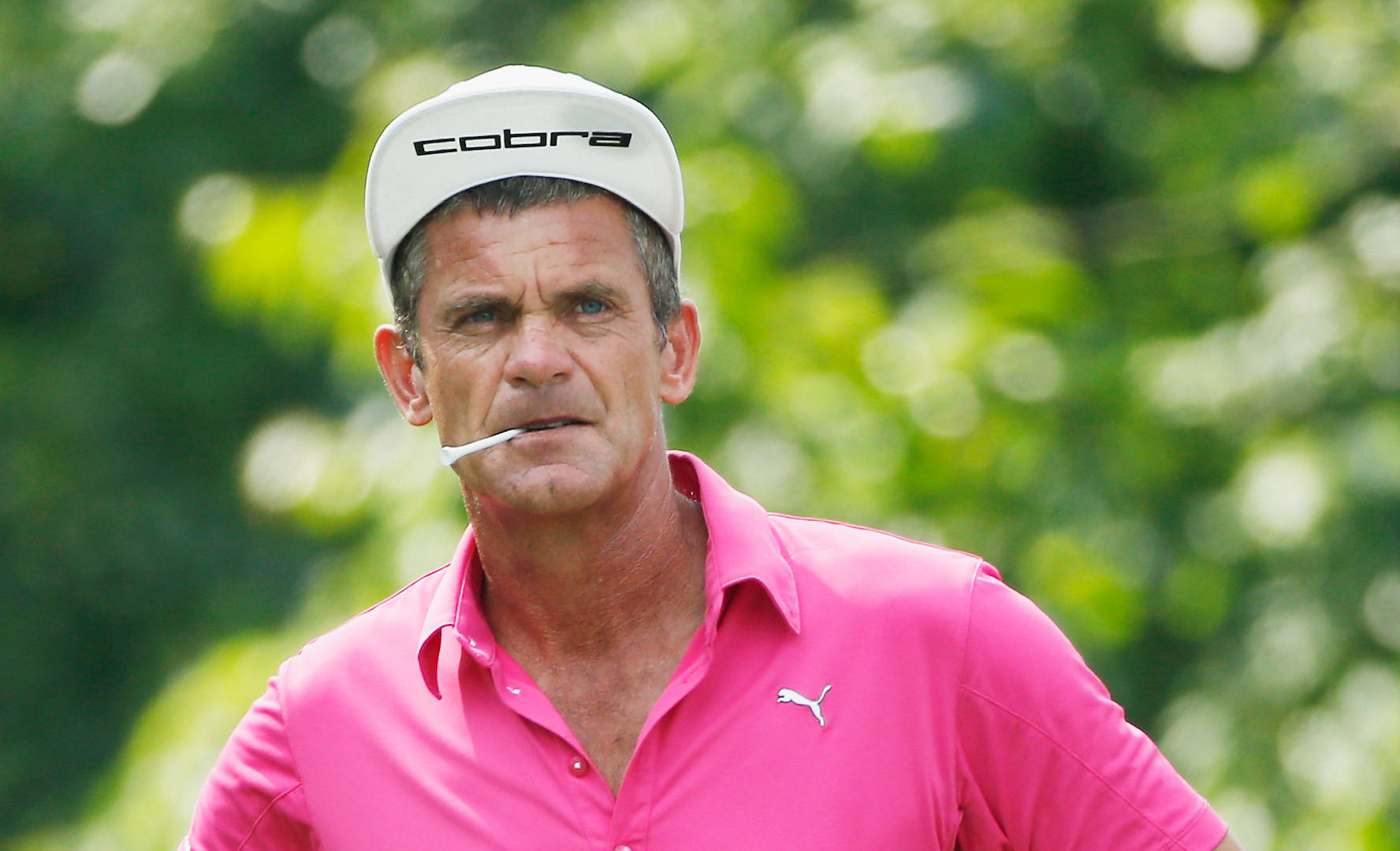 Jesper Parnevik, pink Puma shirt, white cap, HD Desktop Wallpaper