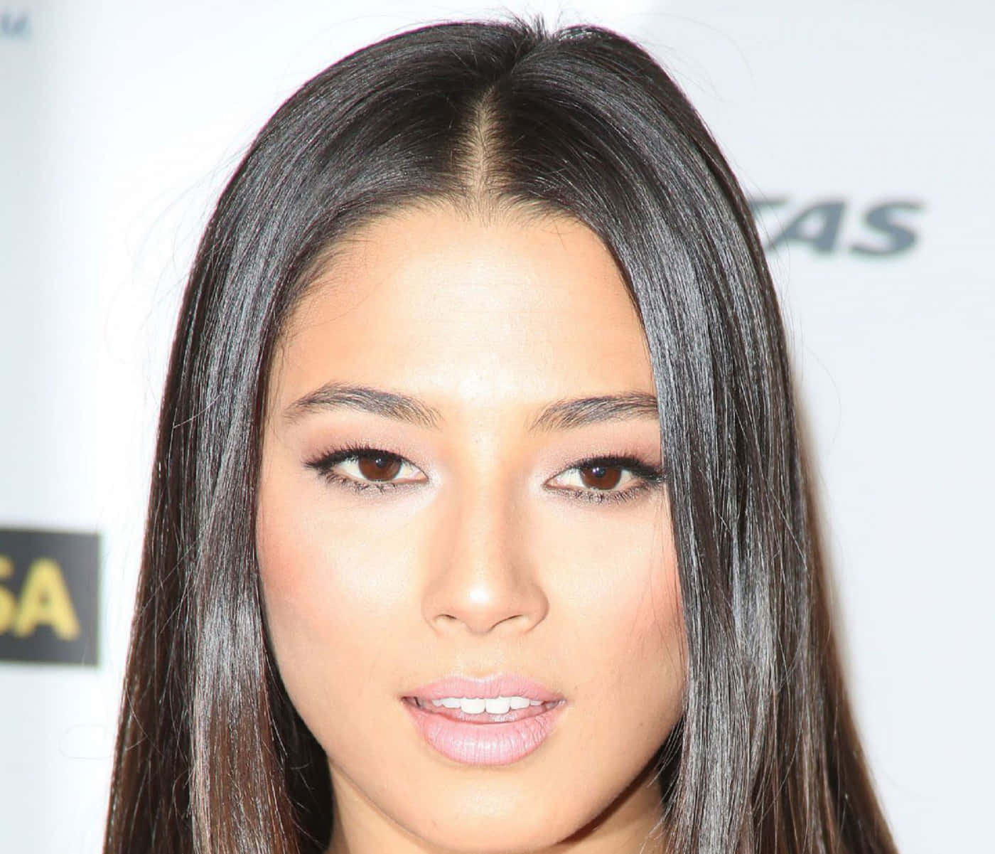 Jessica Gomes, long dark hair, soft makeup, HD Desktop Wallpaper