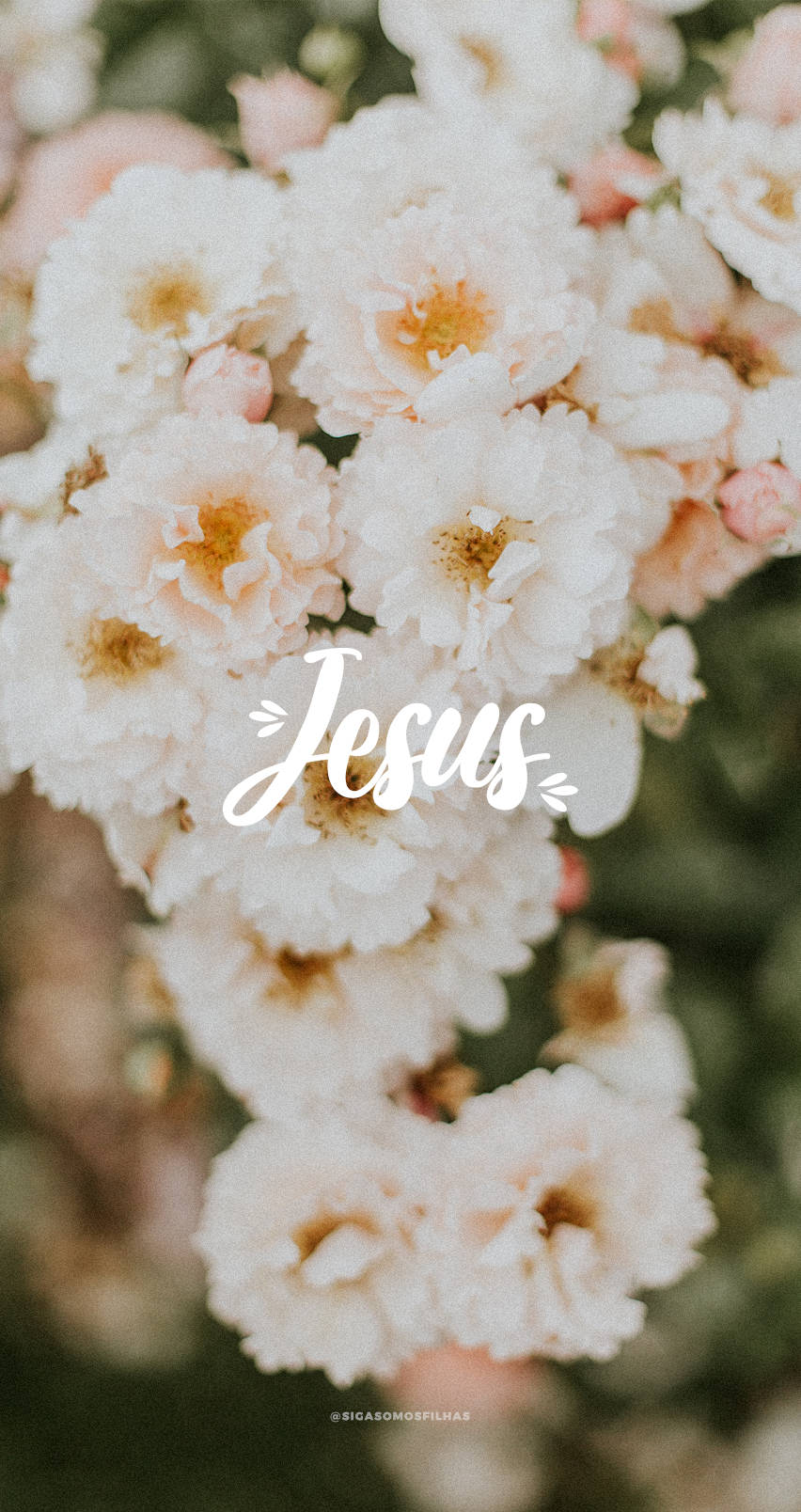 Jesus, roses, blush pink, HD Phone Wallpaper