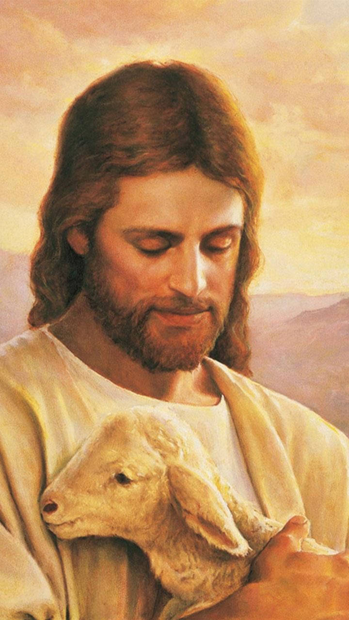 Jesus, baby sheep, golden sky, HD Phone Wallpaper